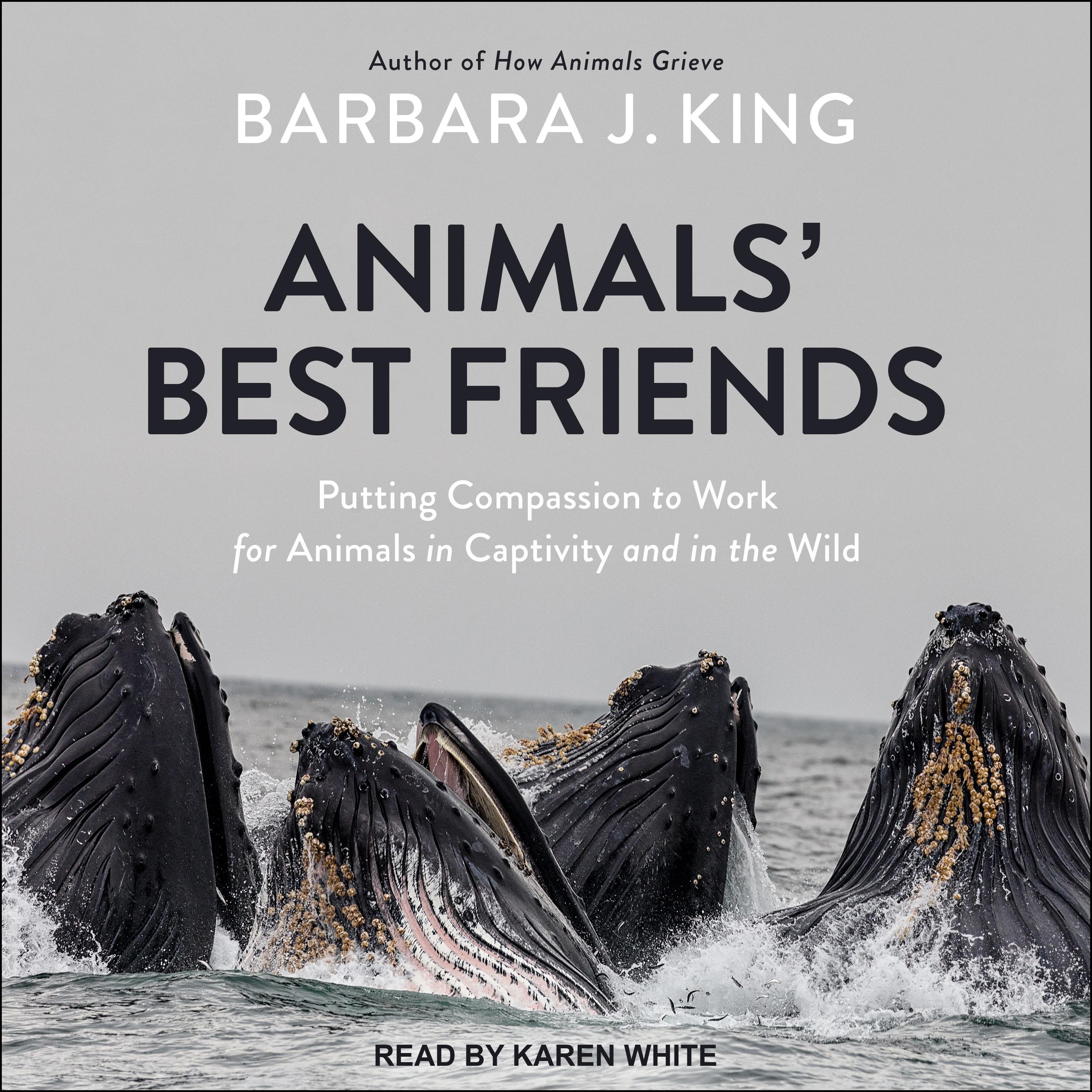 Animals' Best Friends