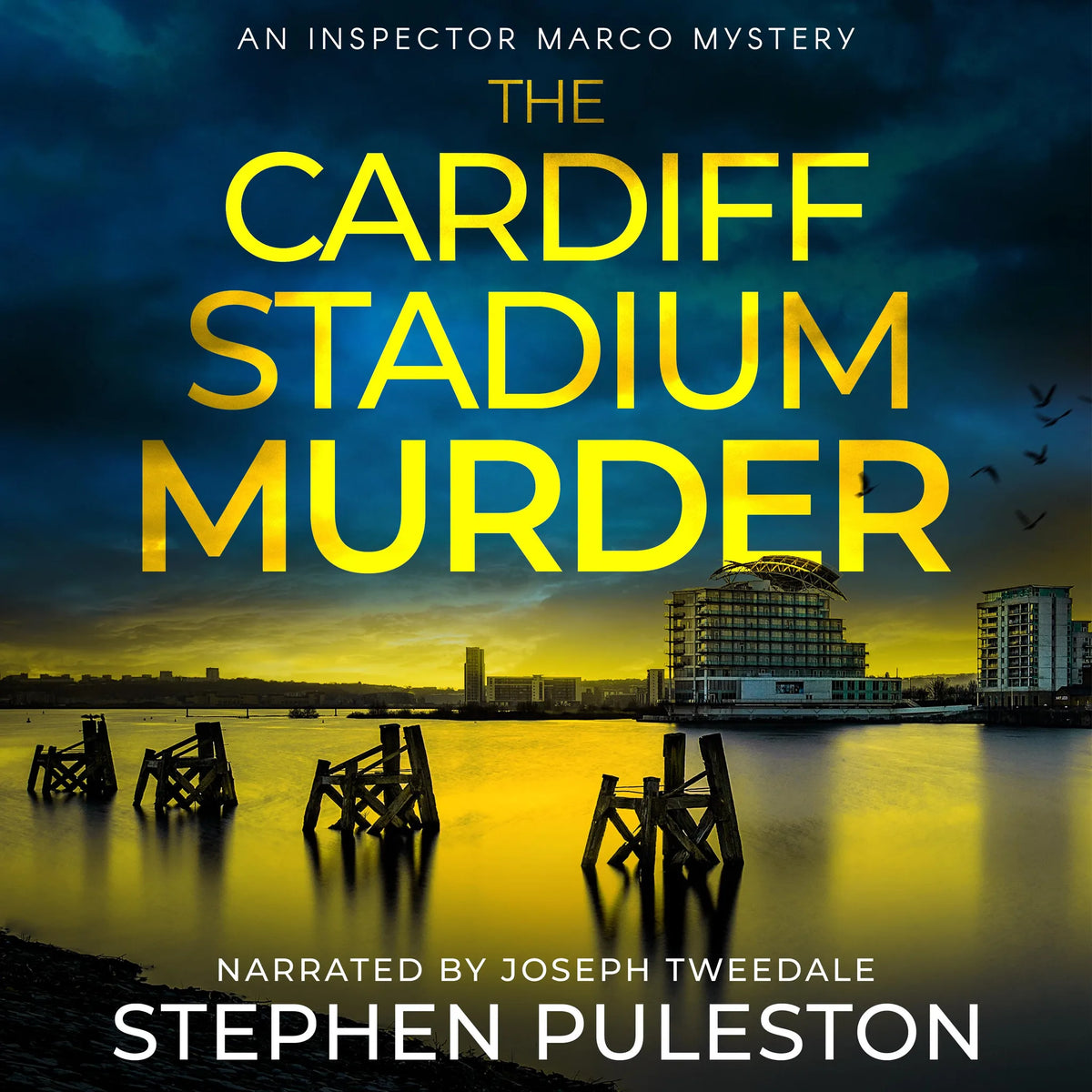 The Cardiff Stadium Murder