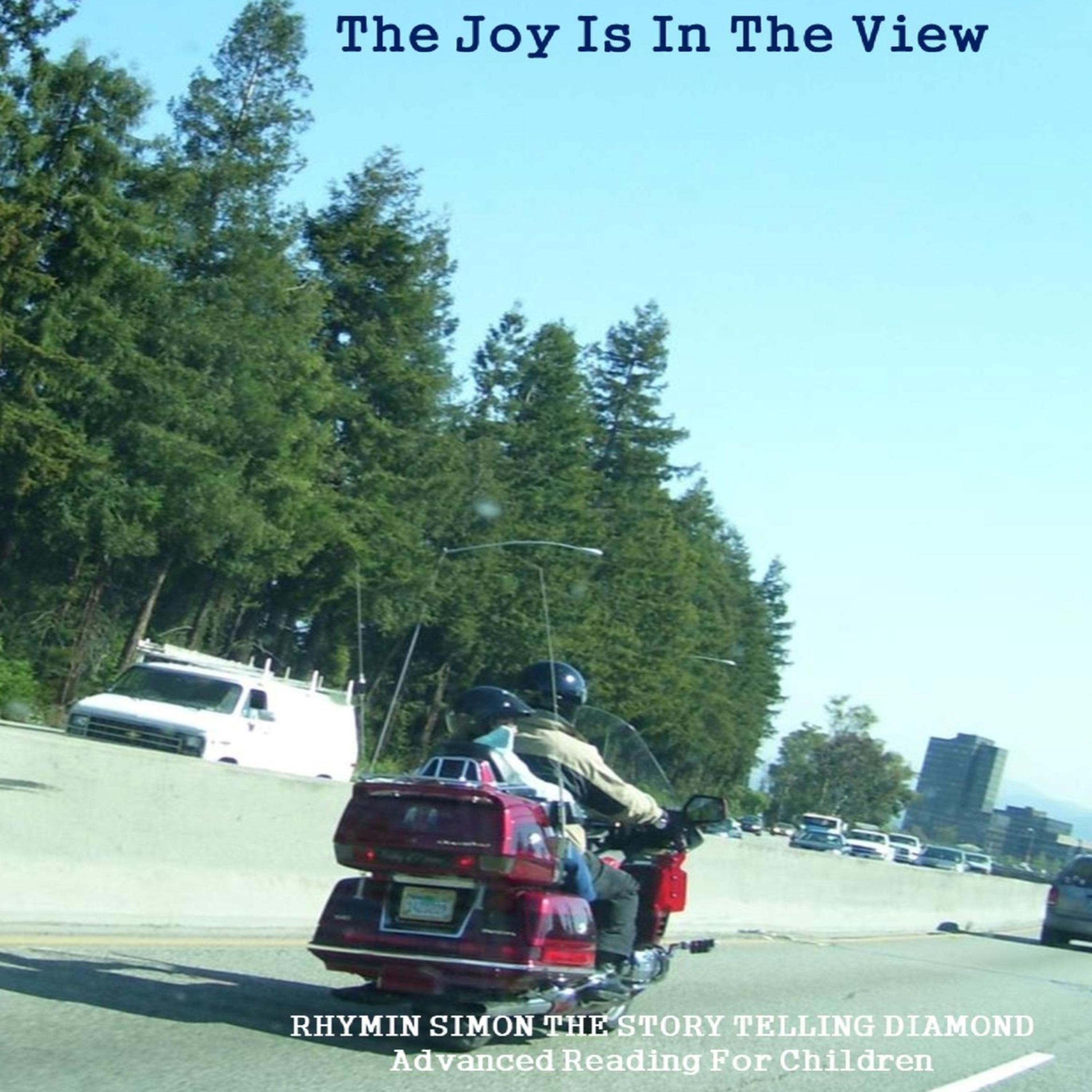 The Joy is In The View