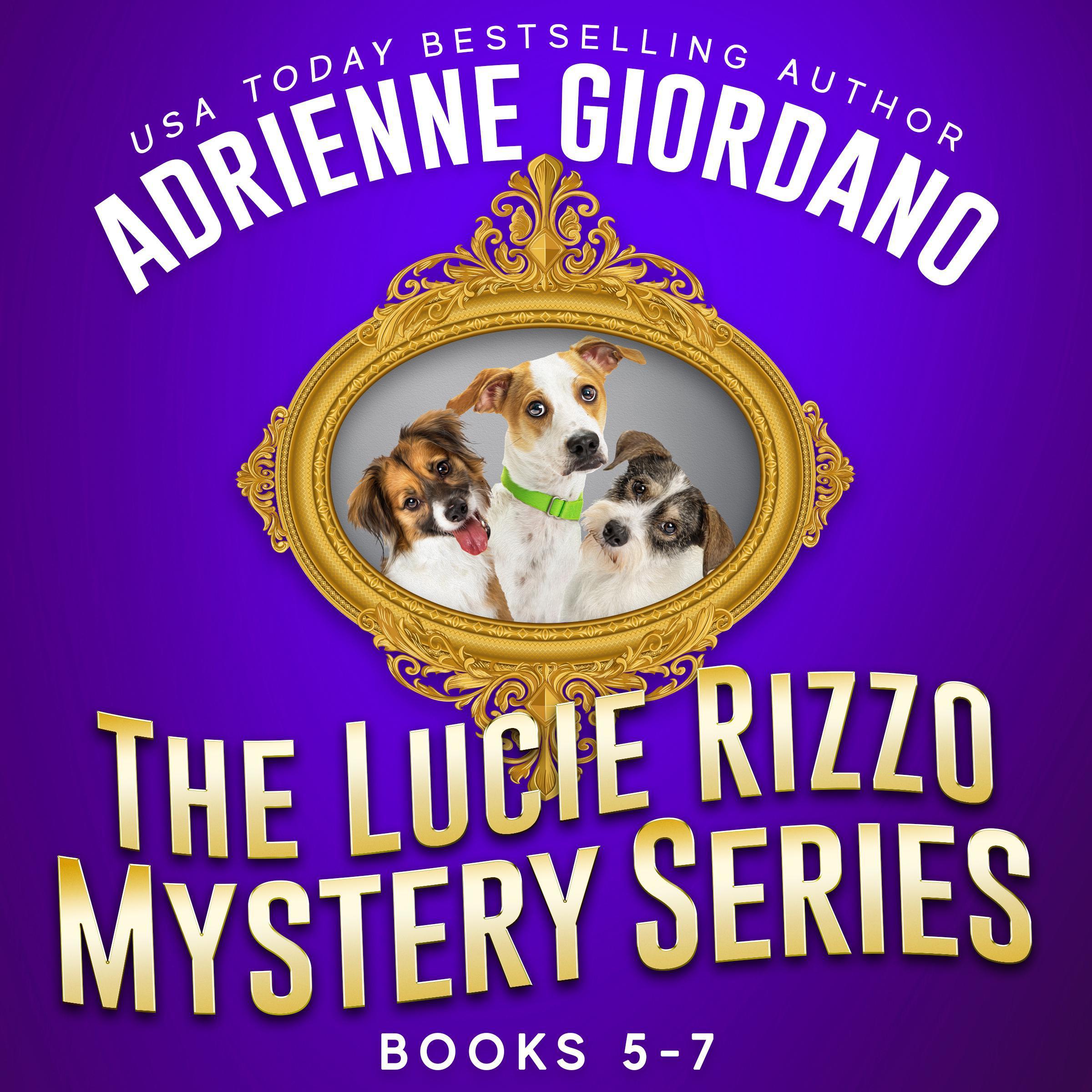 Lucie Rizzo Mystery Series Box Set 2