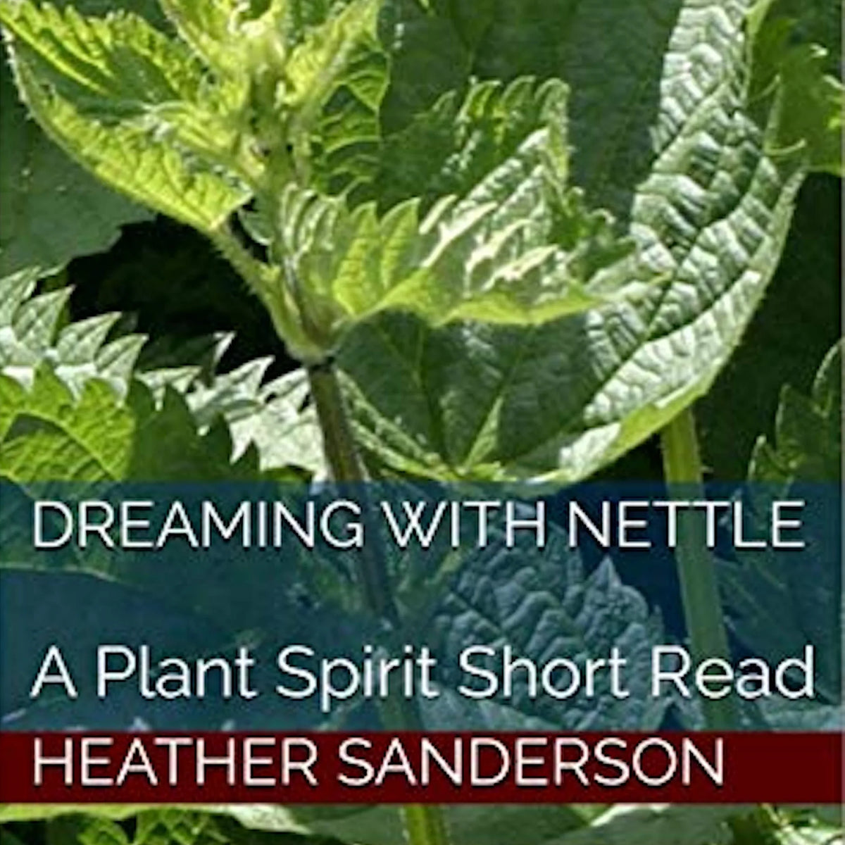Dreaming with Nettle