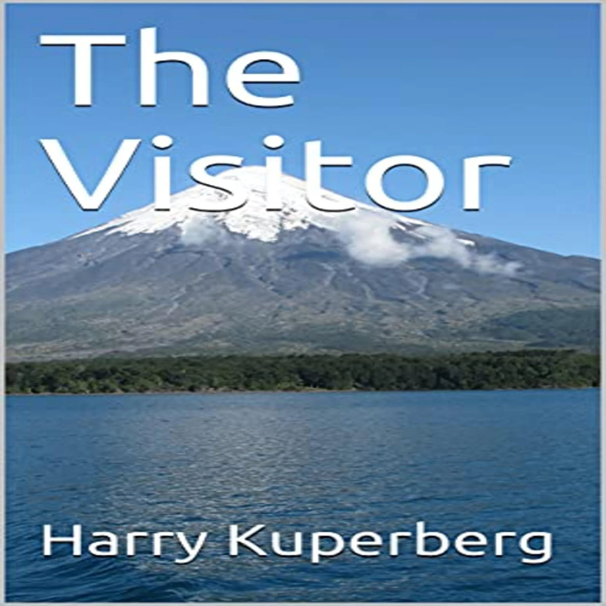The Visitor