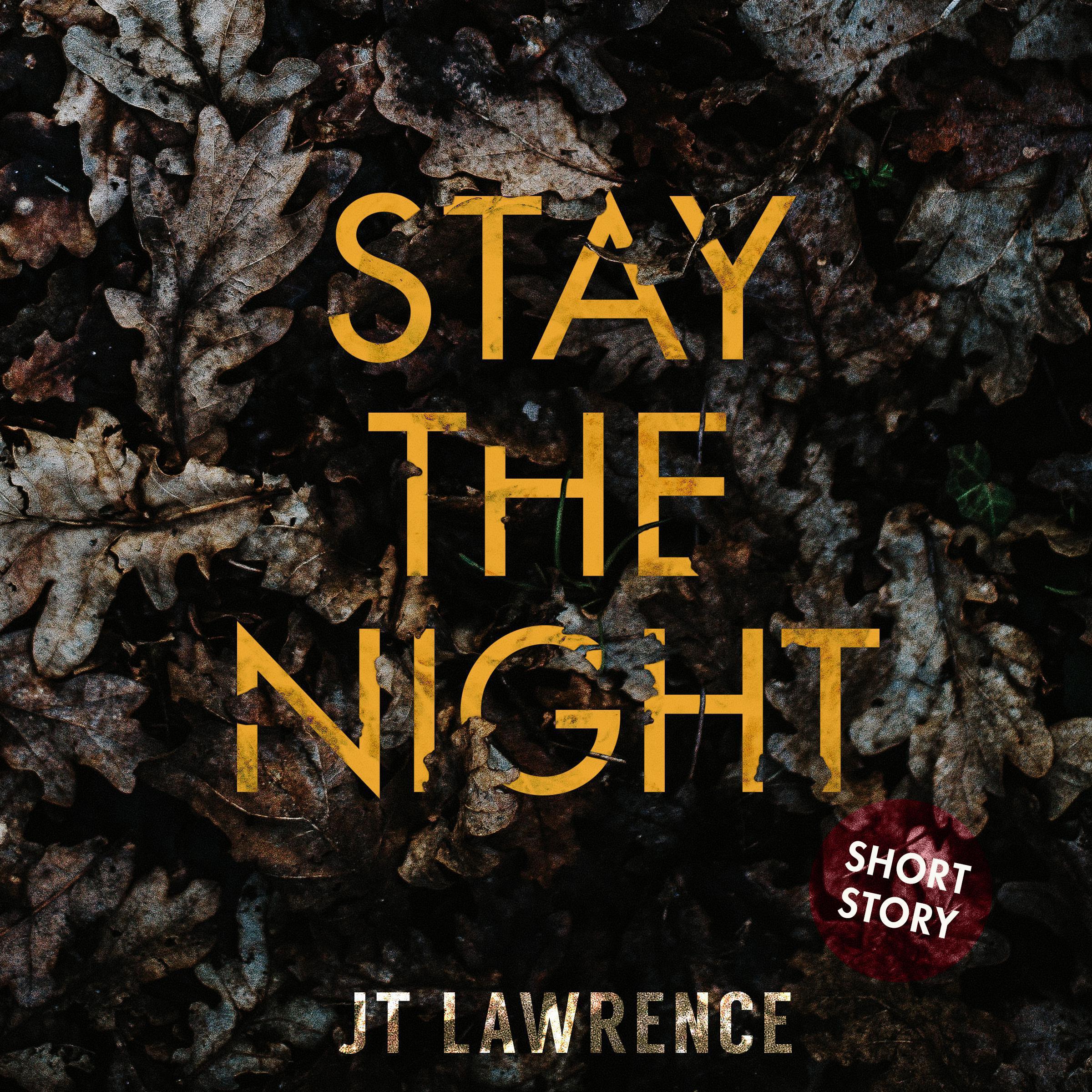 Stay the Night