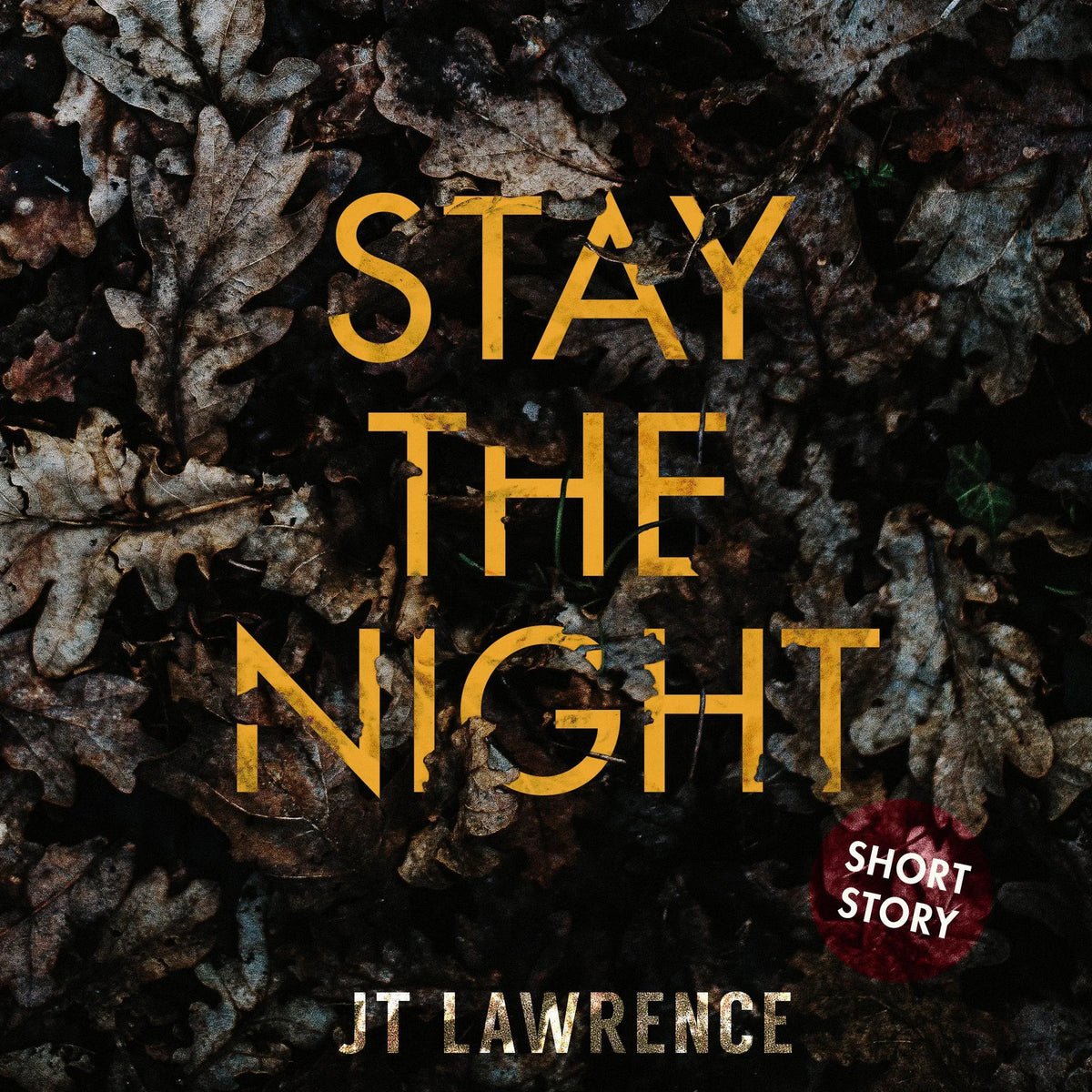Stay the Night