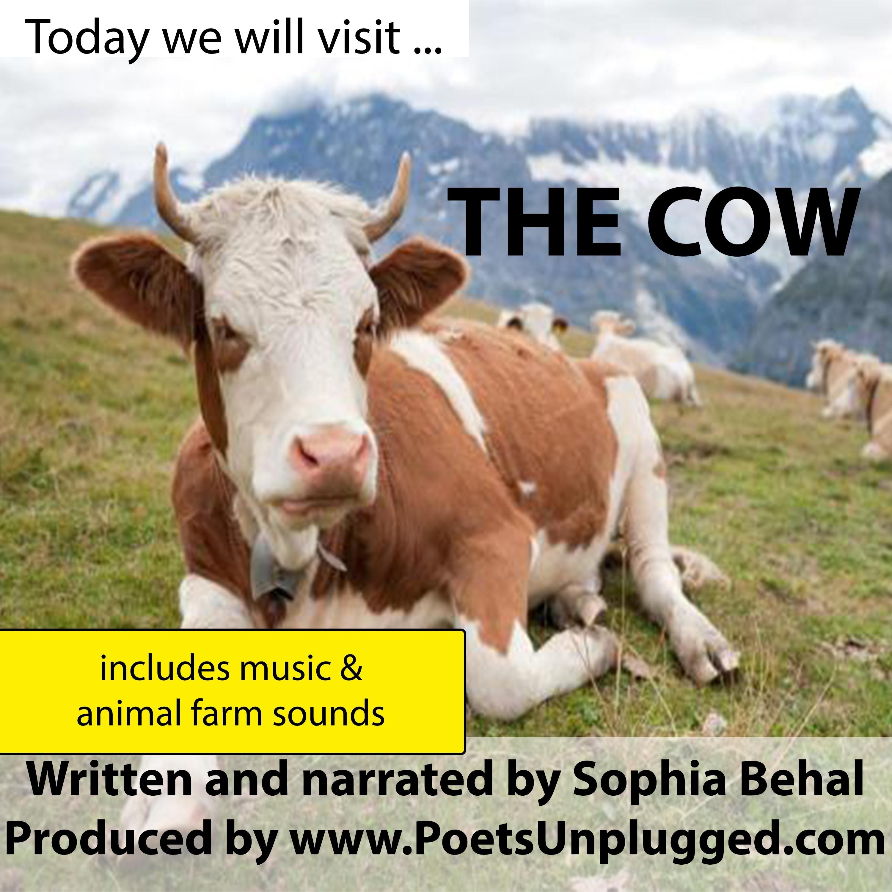 The Cow