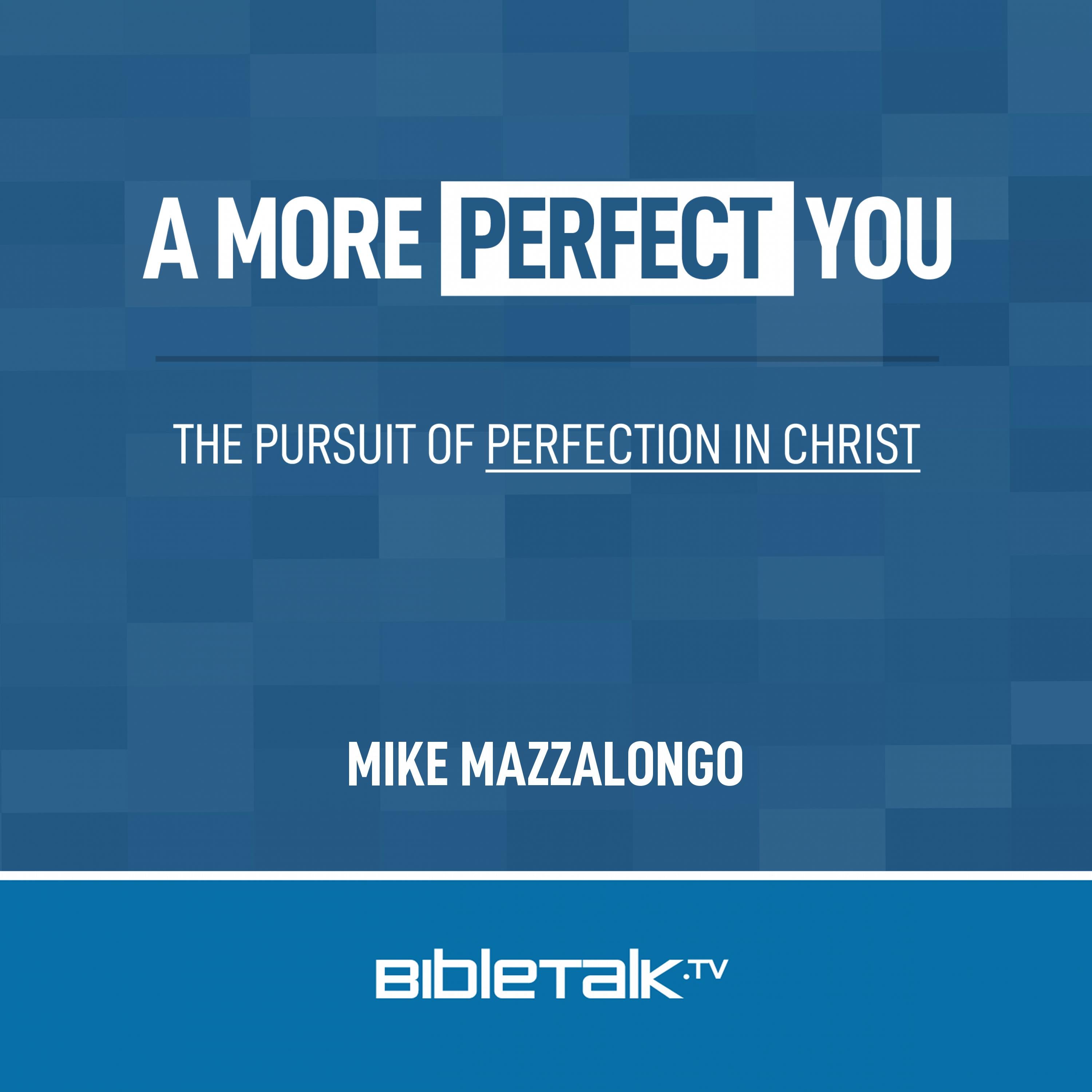 A More Perfect You