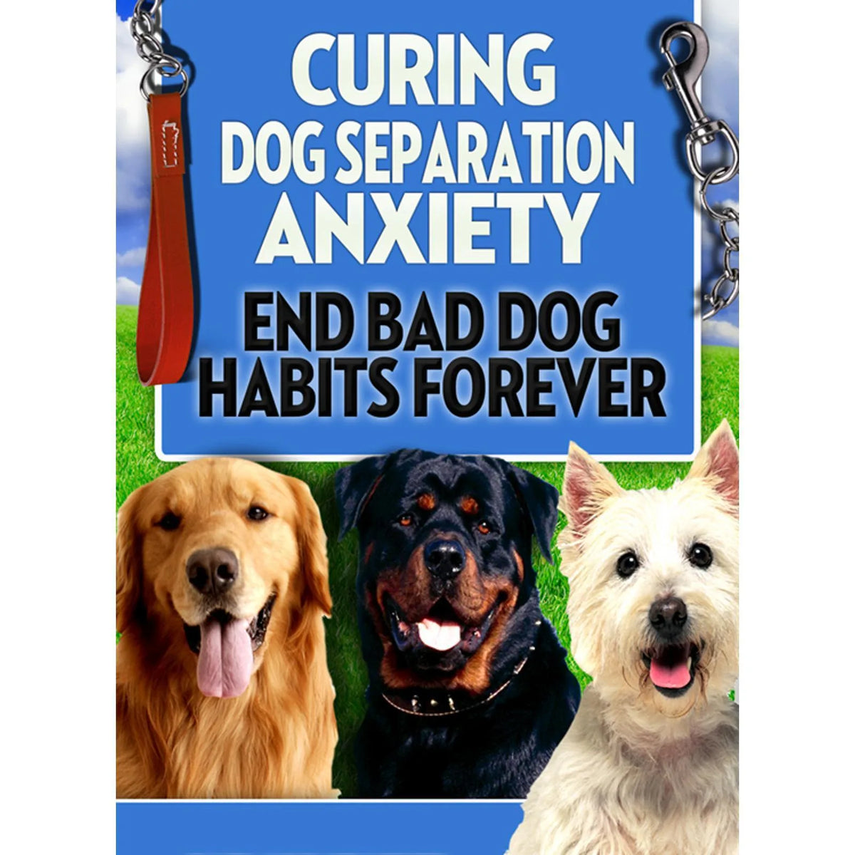 Dog Training: Curing Dog Separation Anxiety