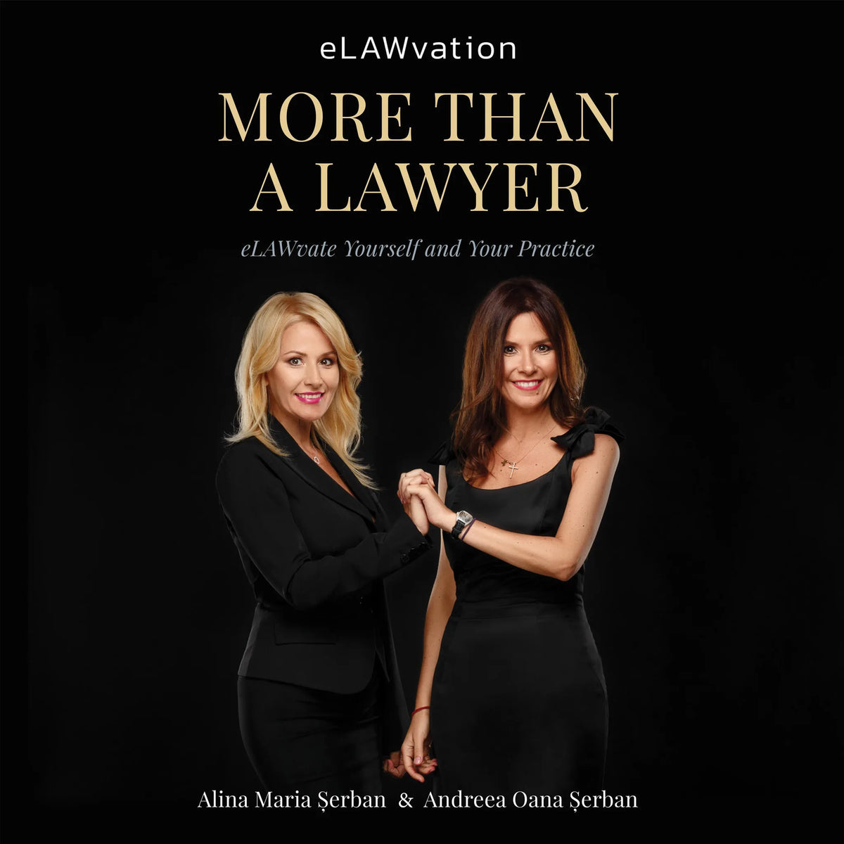 More Than A Lawyer