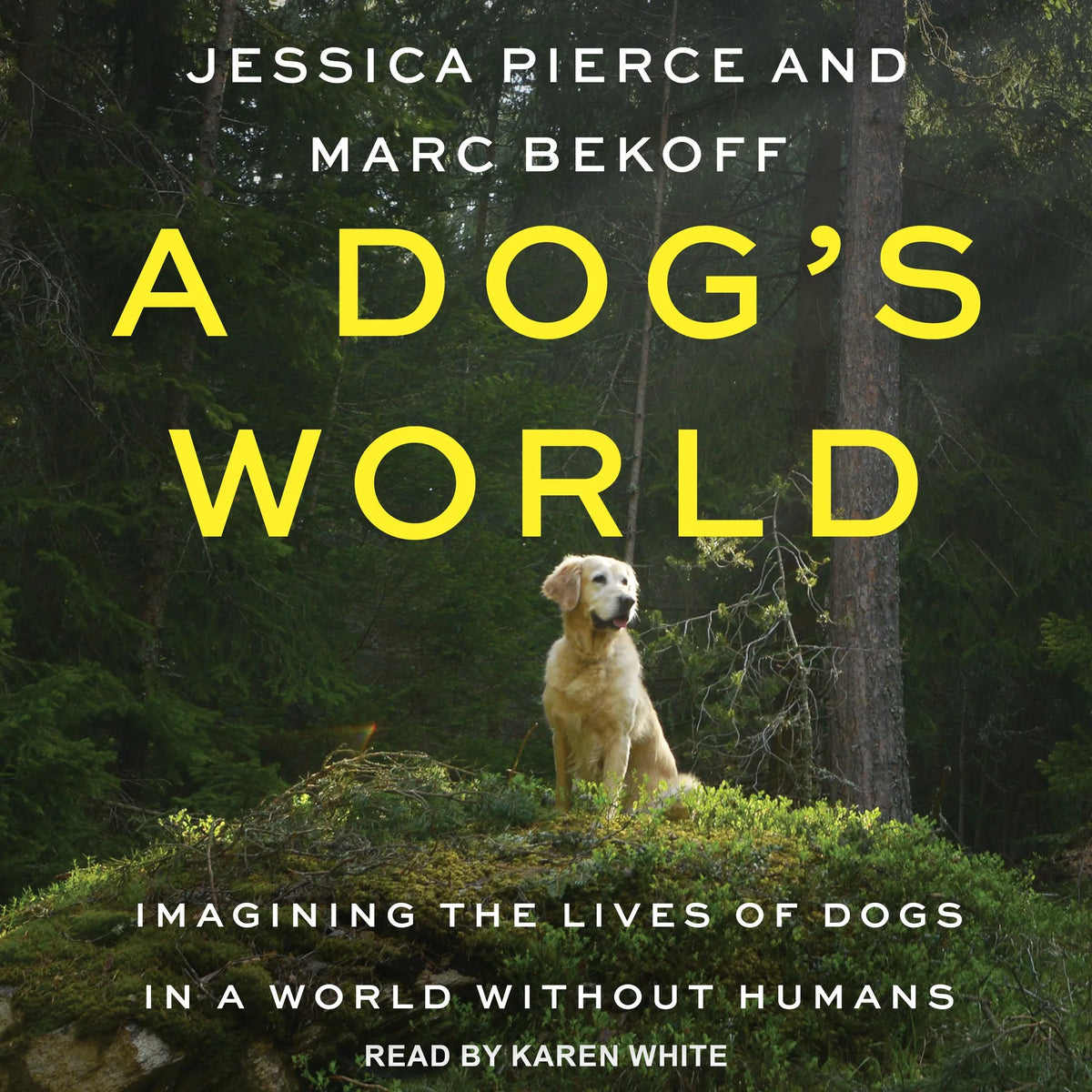 A Dog's World