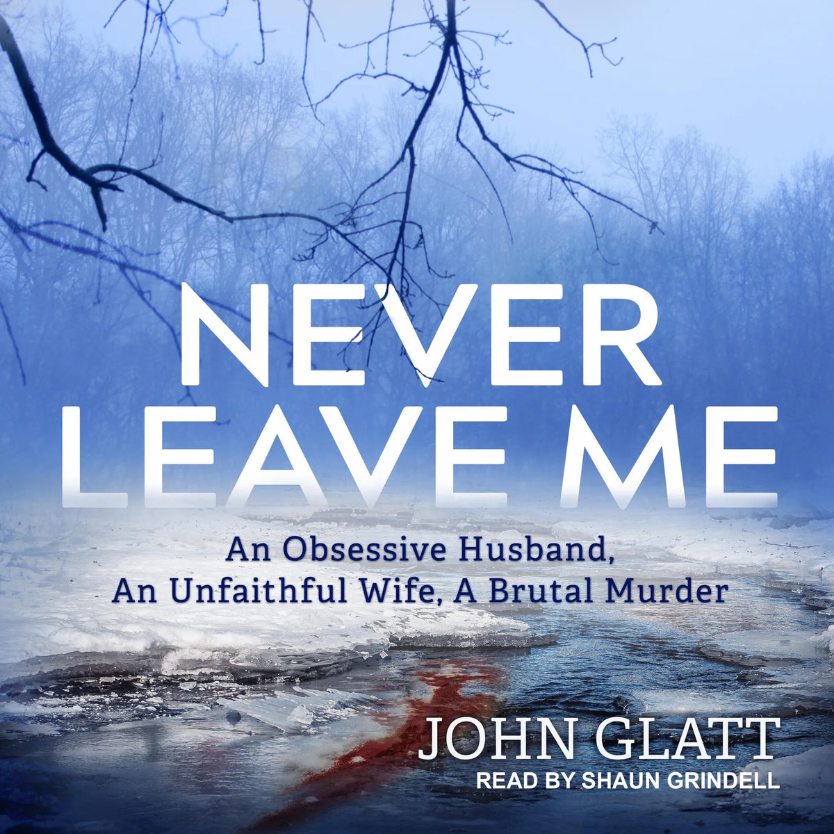 Never Leave Me
