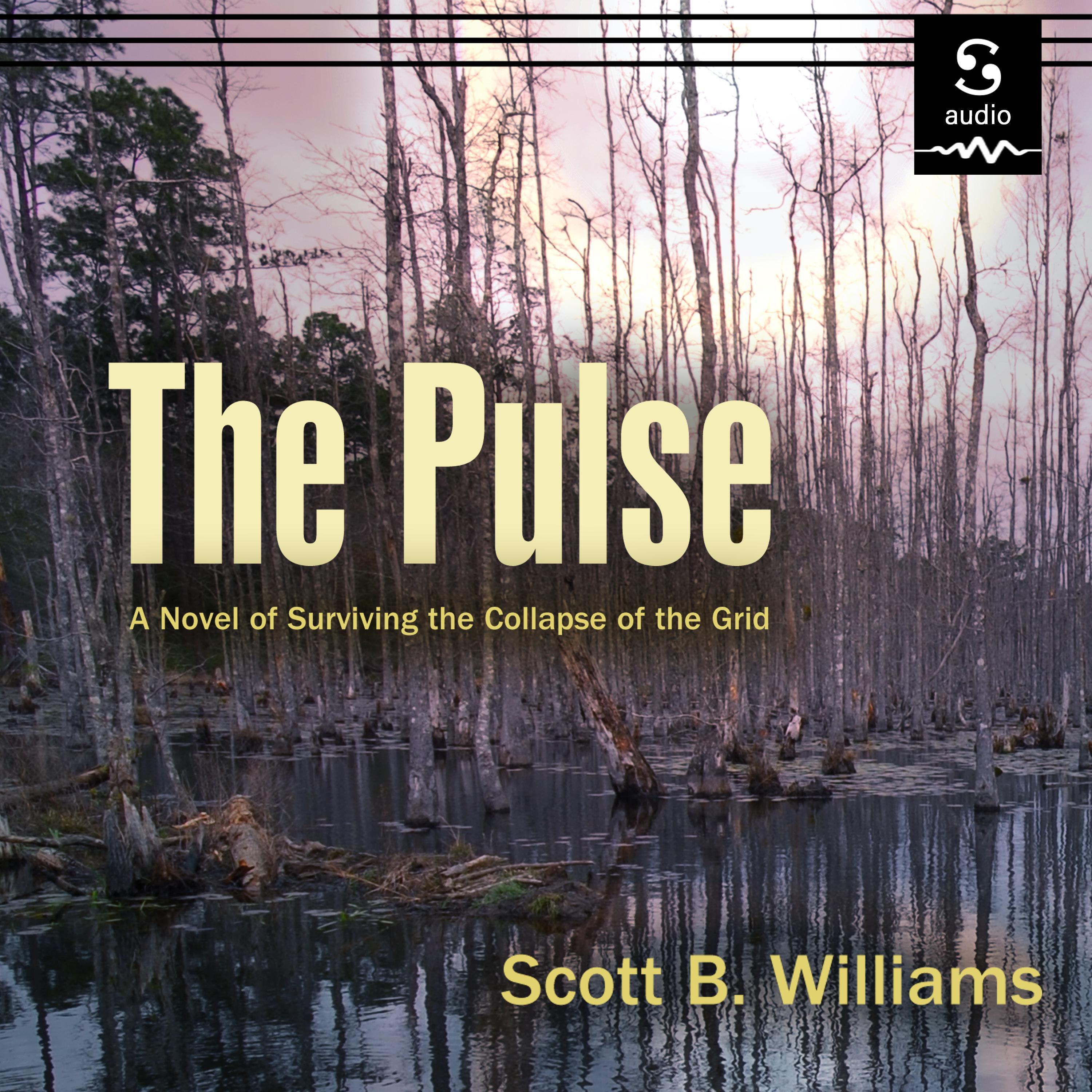 The Pulse