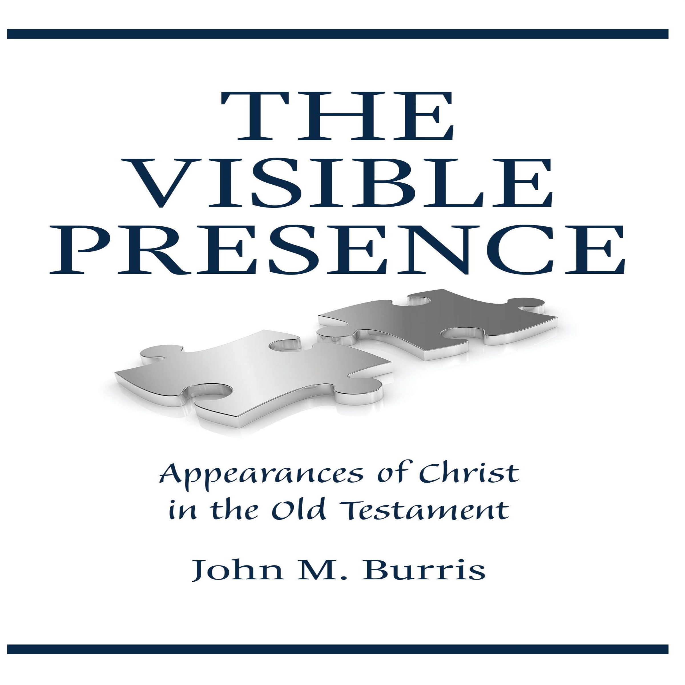 The Visible Presence
