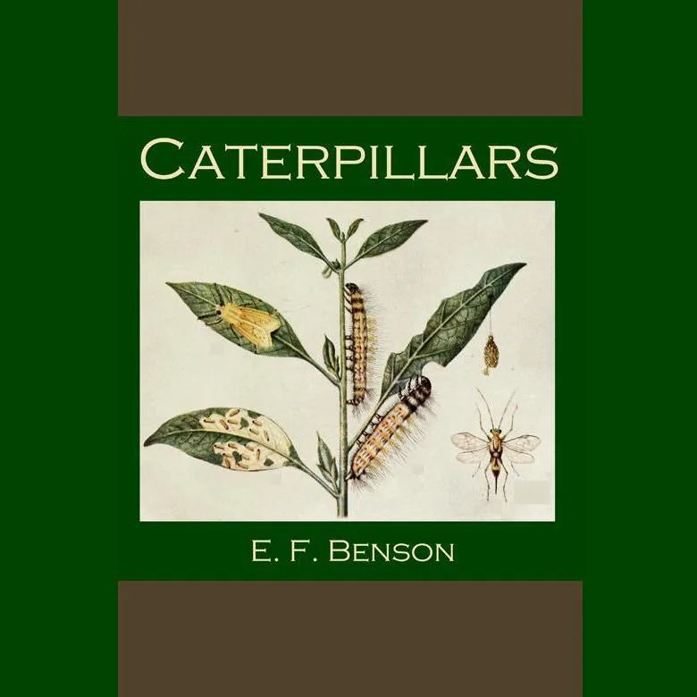 Caterpillars