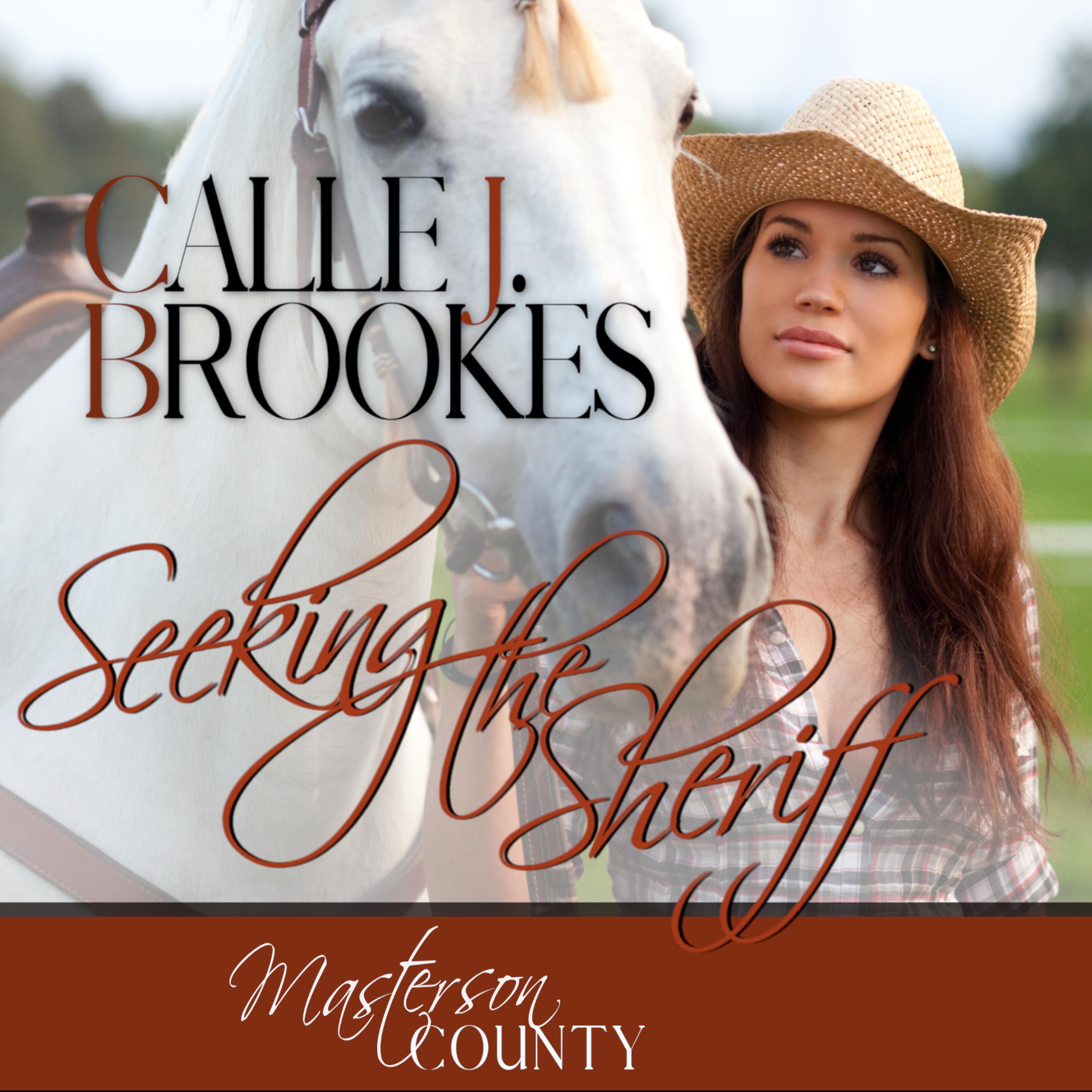 Seeking the Sheriff