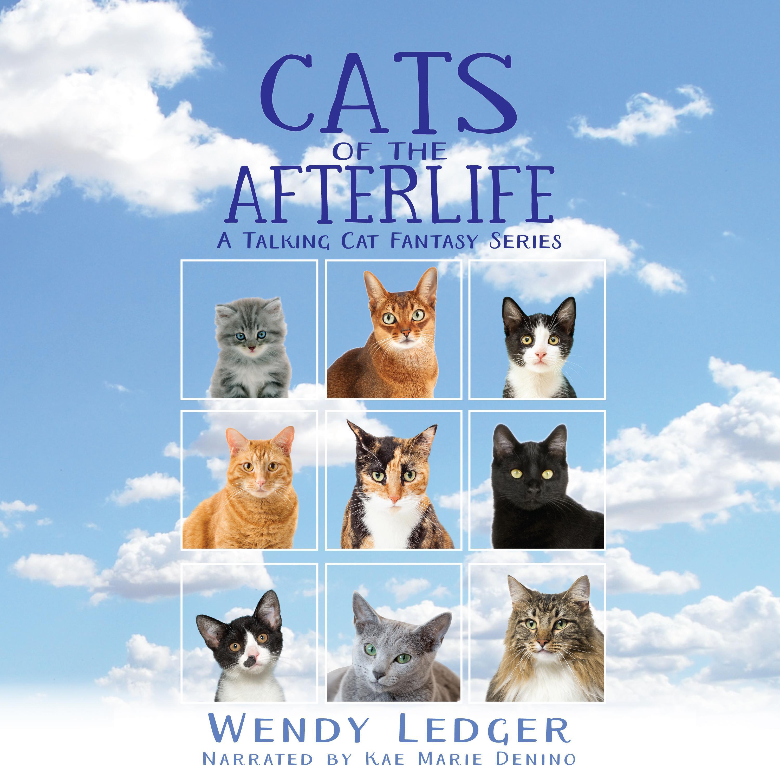 The Cats of the Afterlife