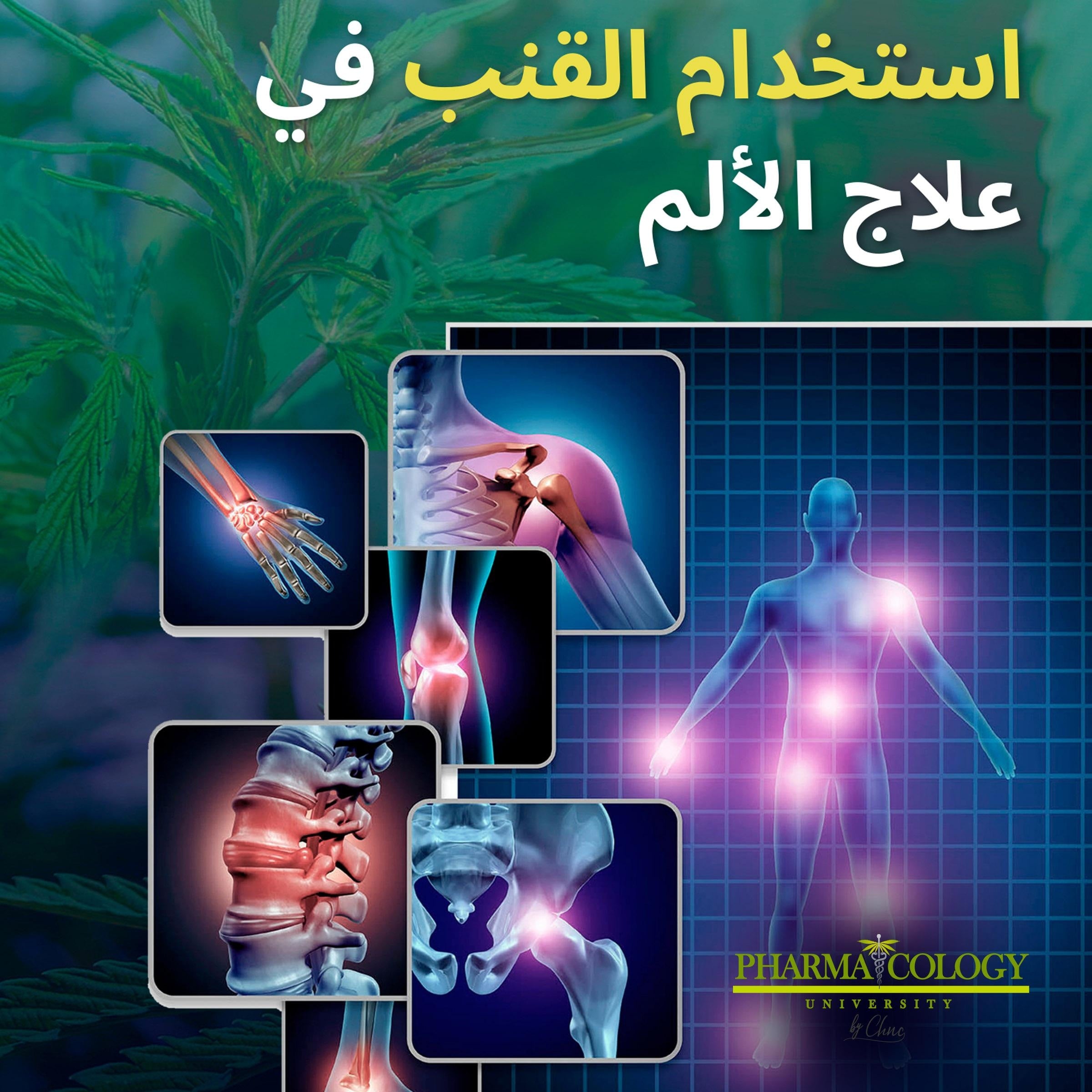 استخدام القنب في علاج الألم
