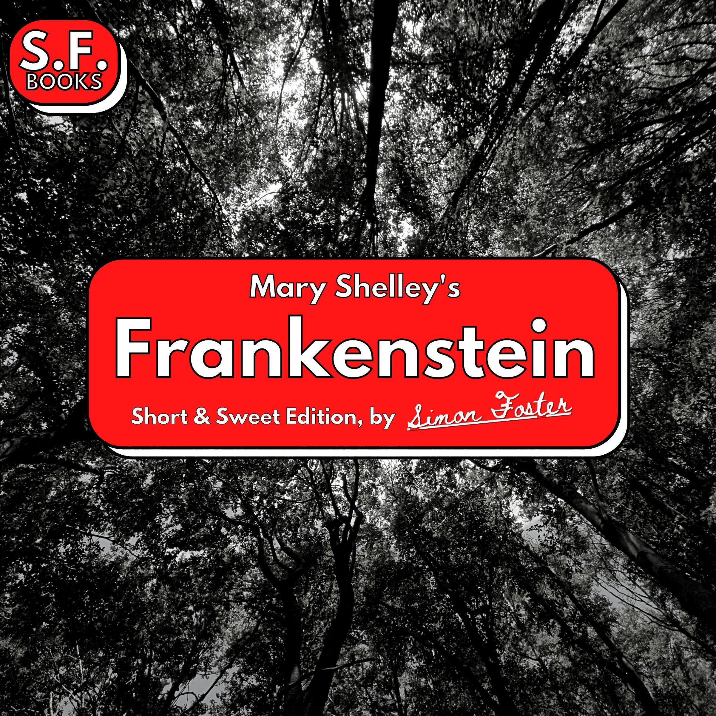 Mary Shelley's Frankenstein