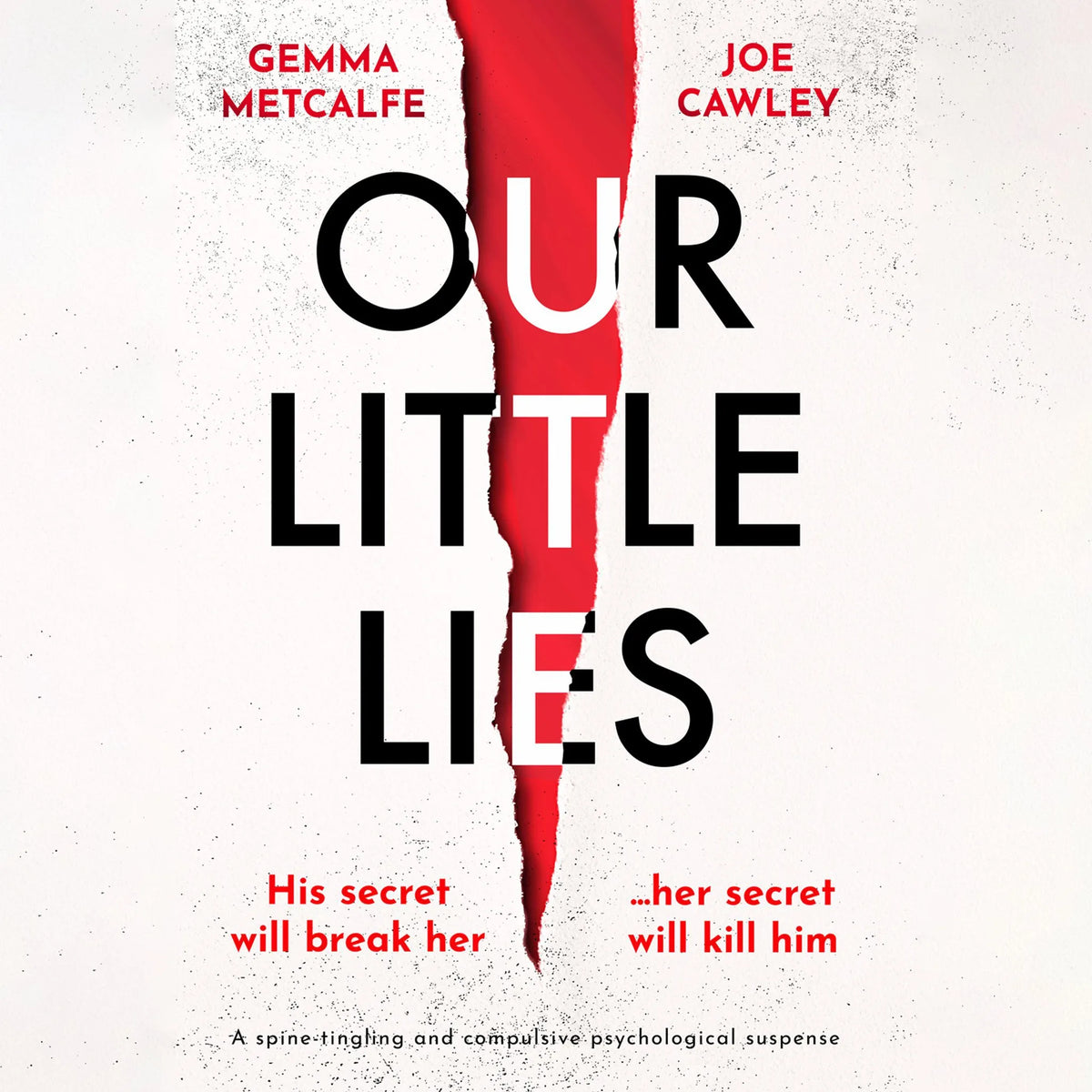 Our Little Lies