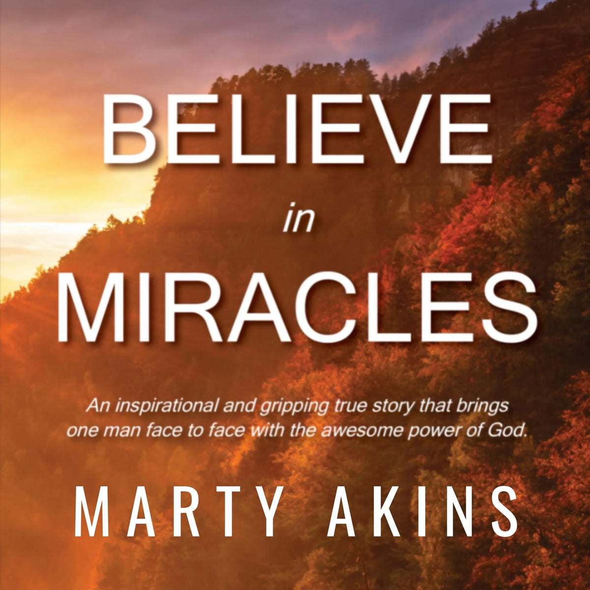 Believe in Miracles