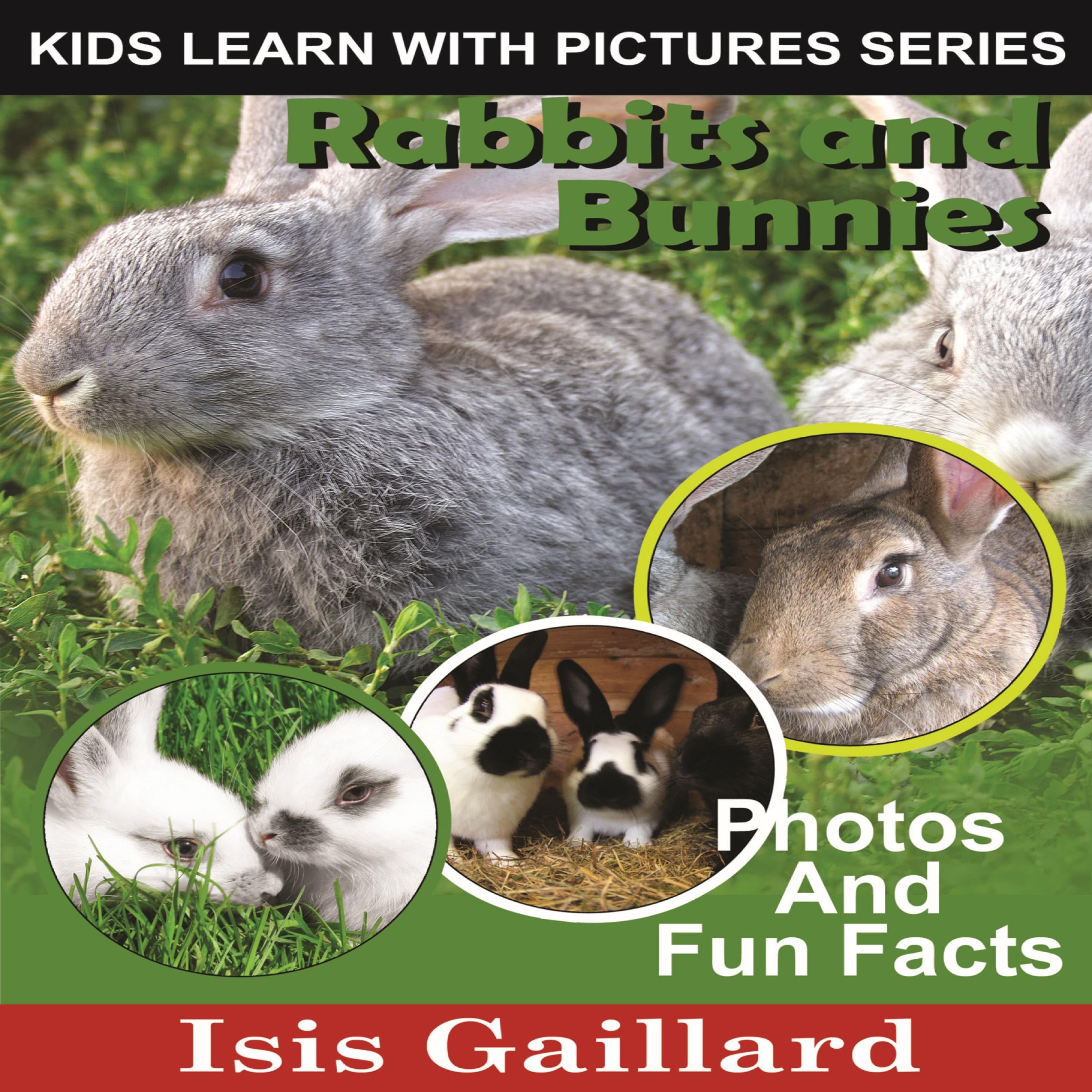 Rabbits and Bunnies