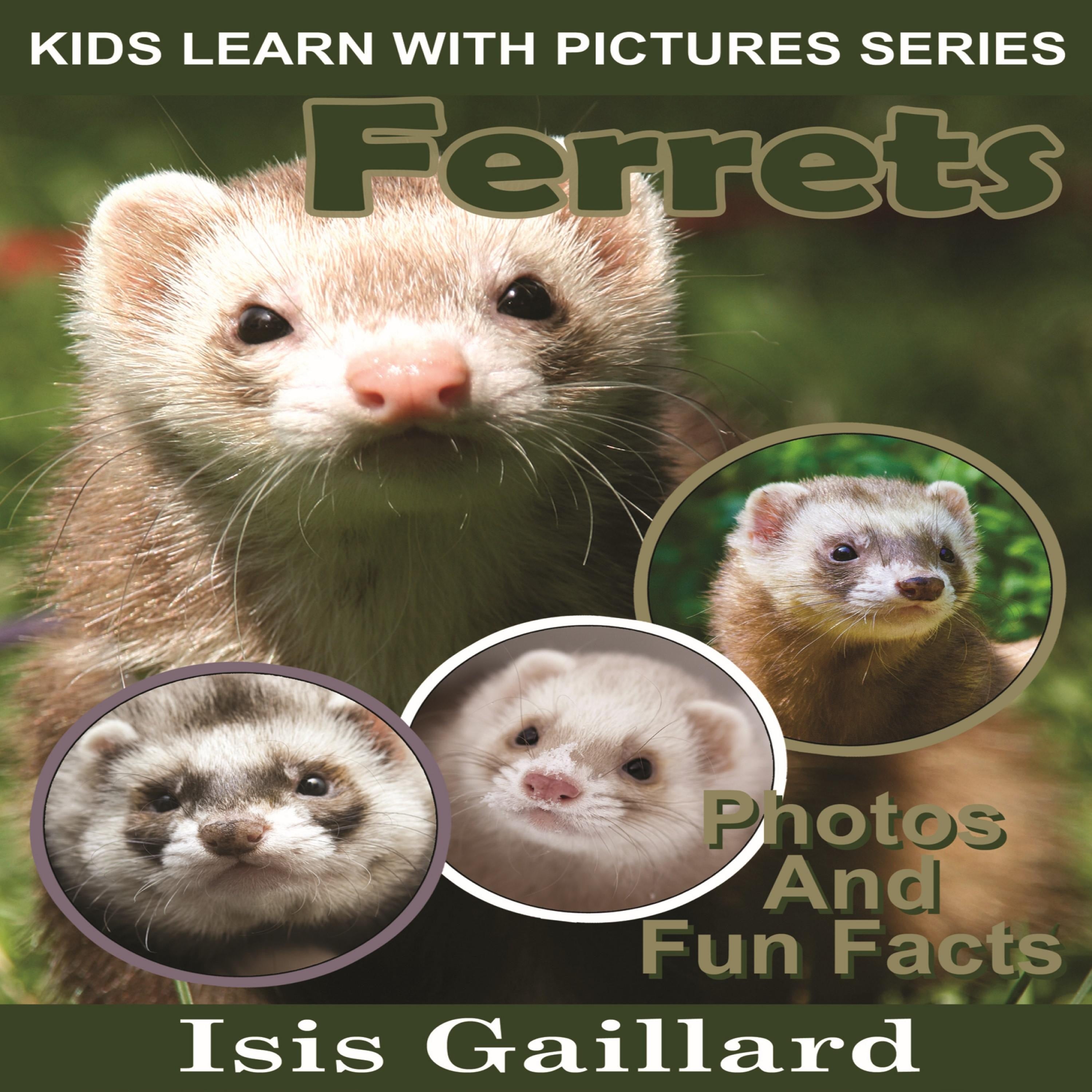 Ferrets