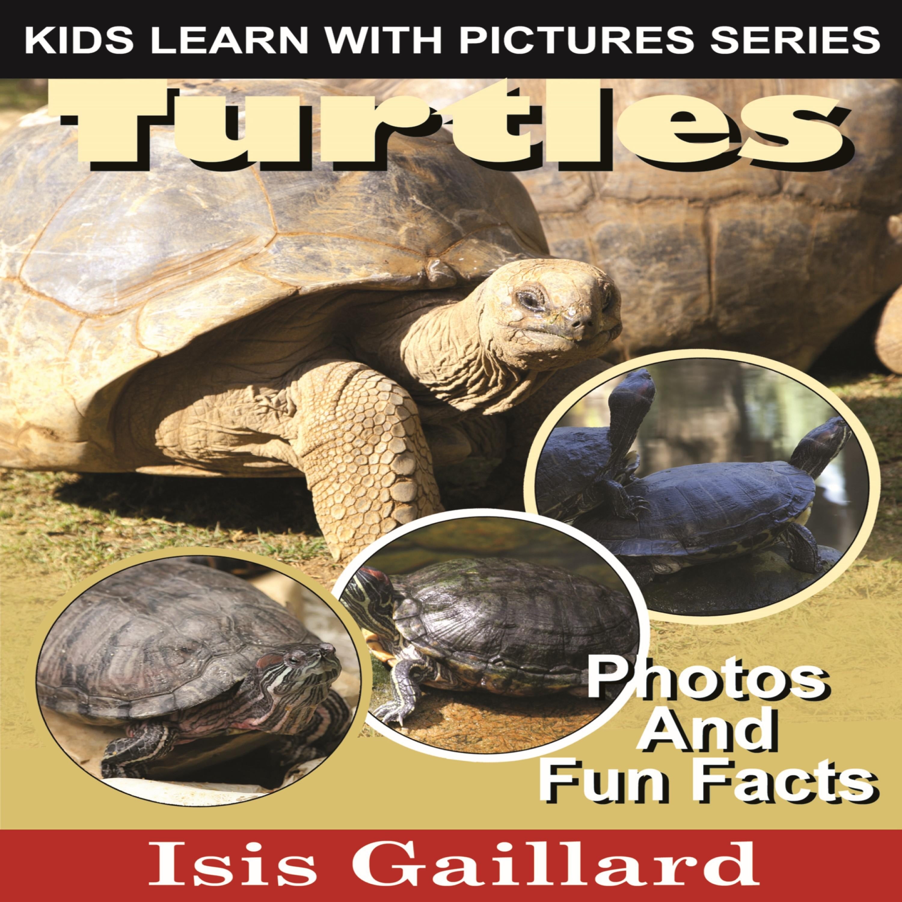 Turtles