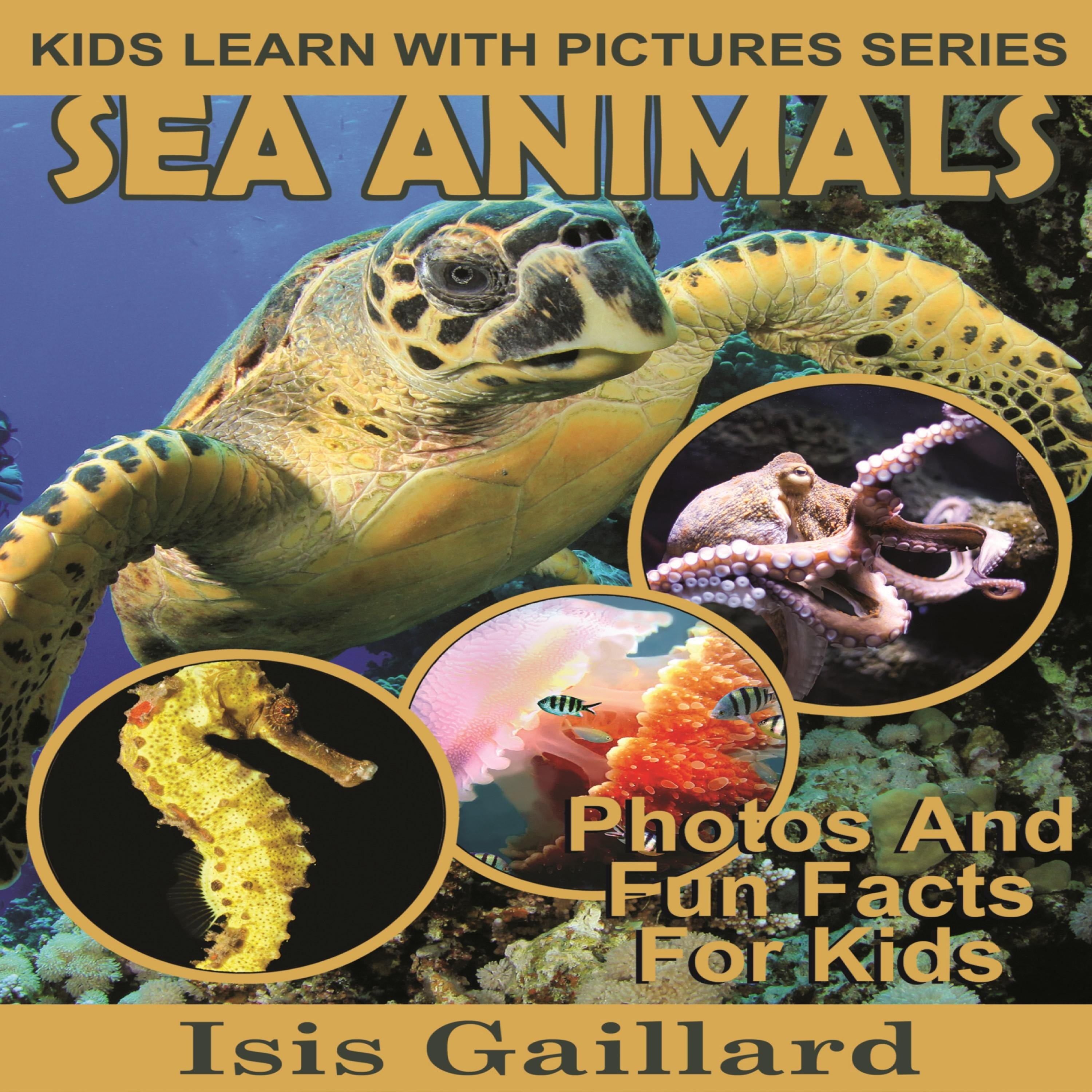 Sea Animals
