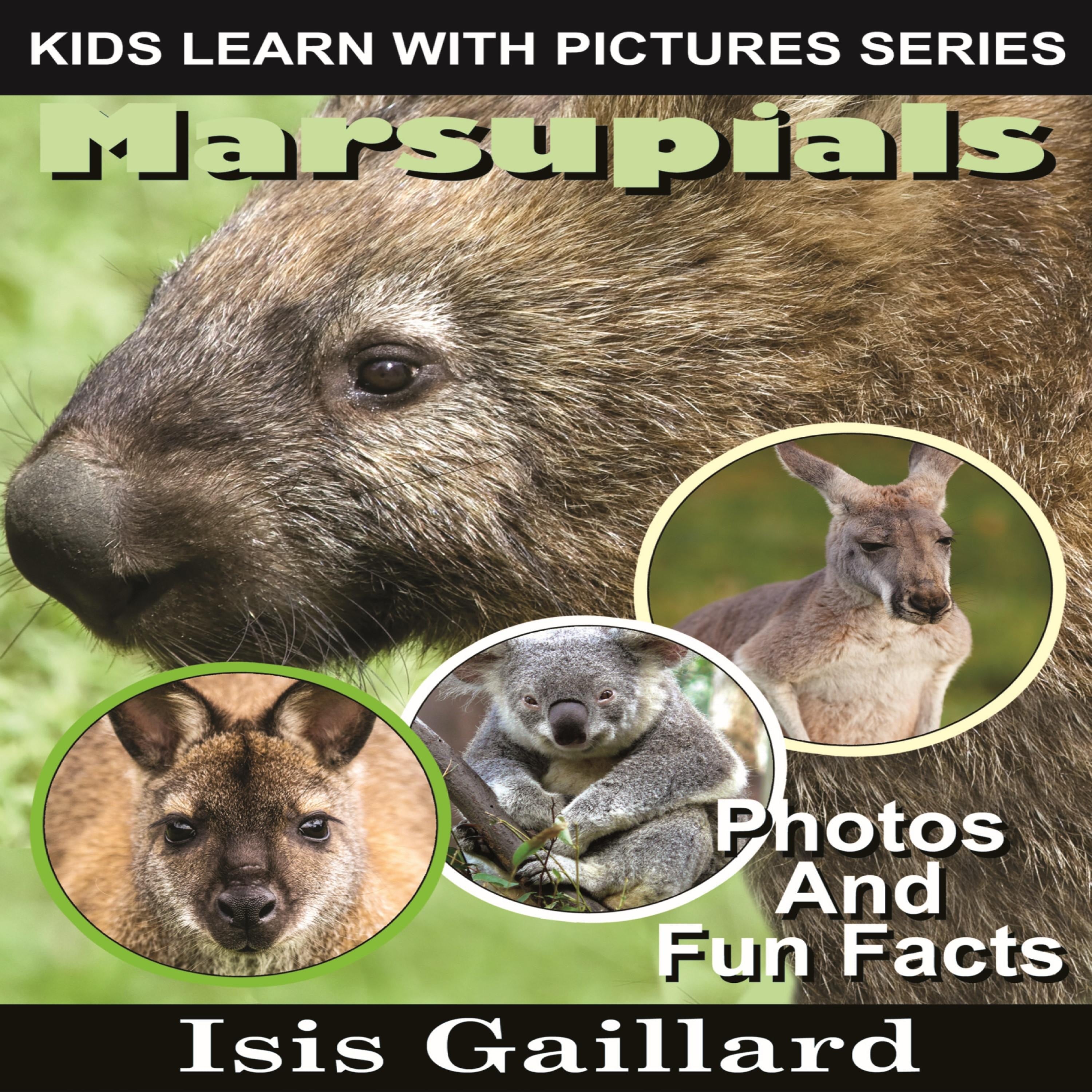 Marsupials