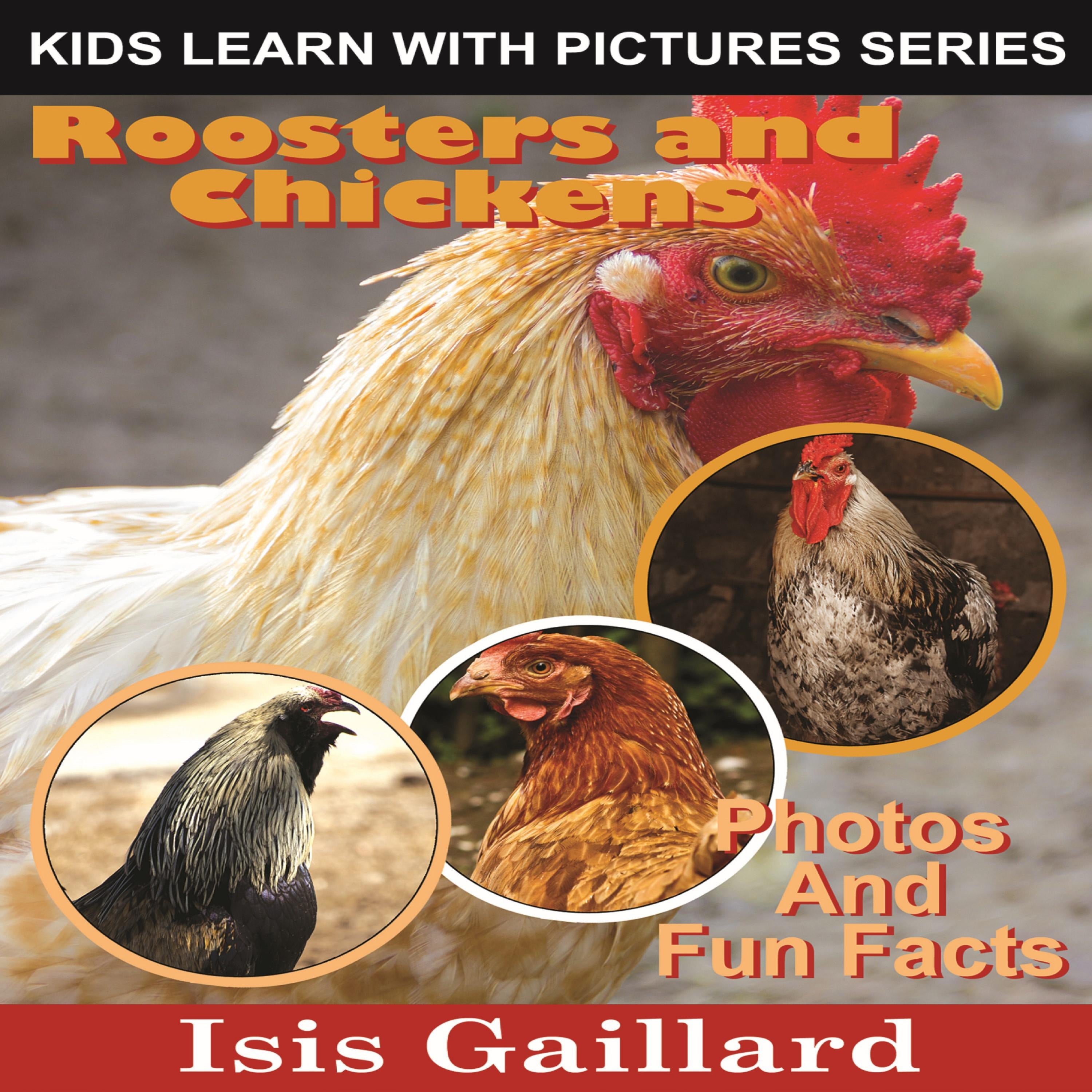 Roosters and Chickens