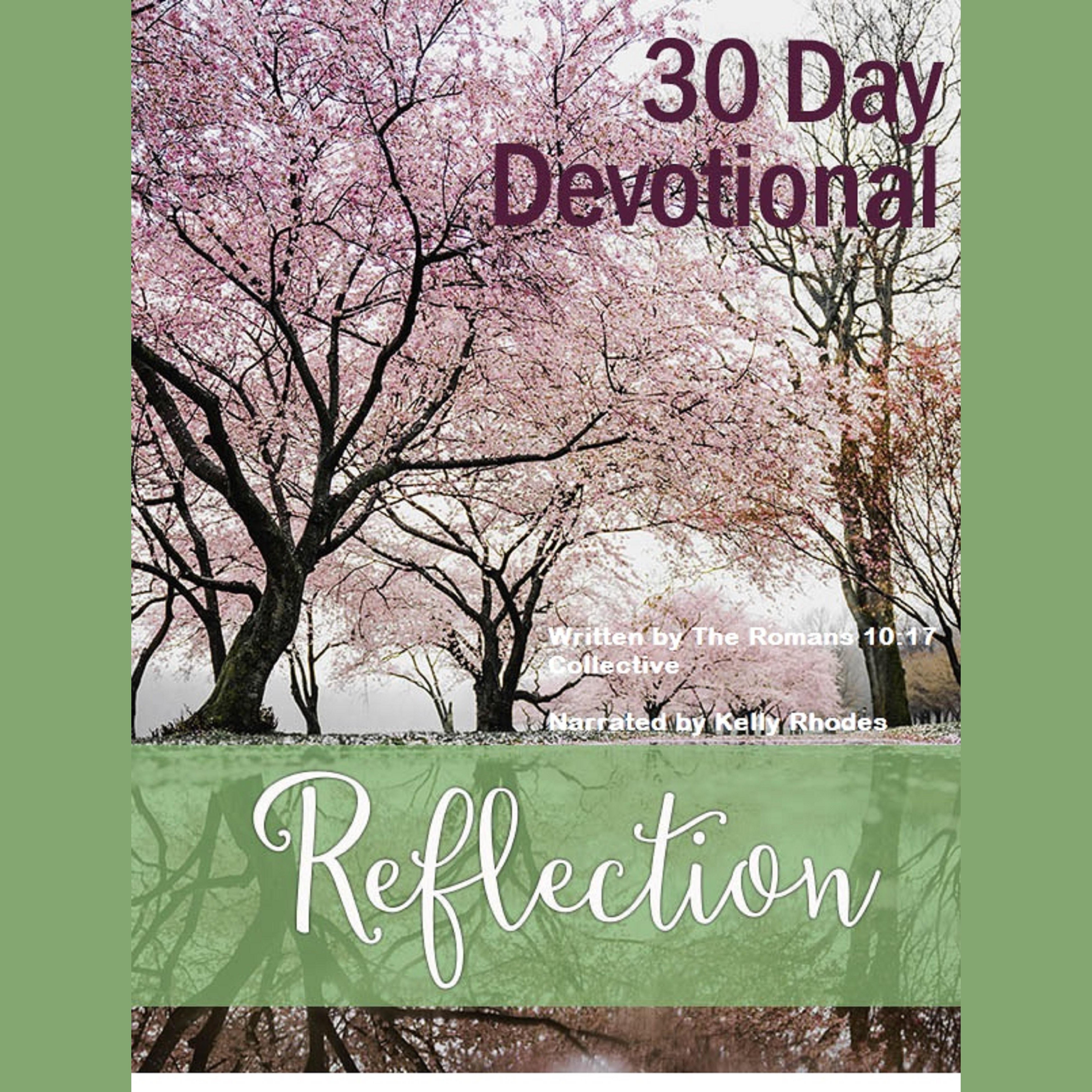 30 Day Devotional on Reflection
