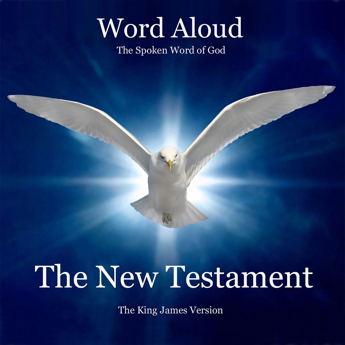 The King James Bible