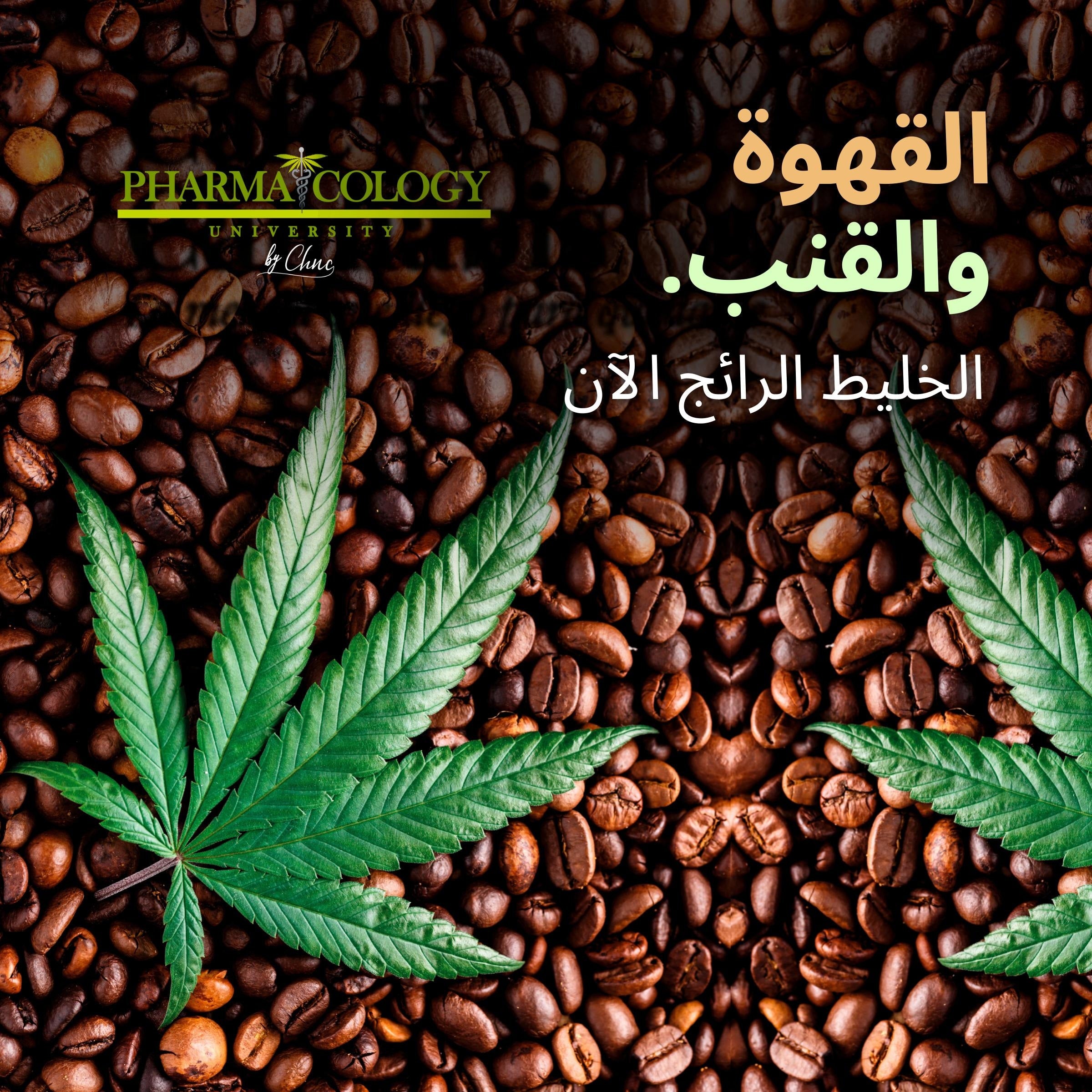 القهوة والقنب. الخليط الرائج الآن