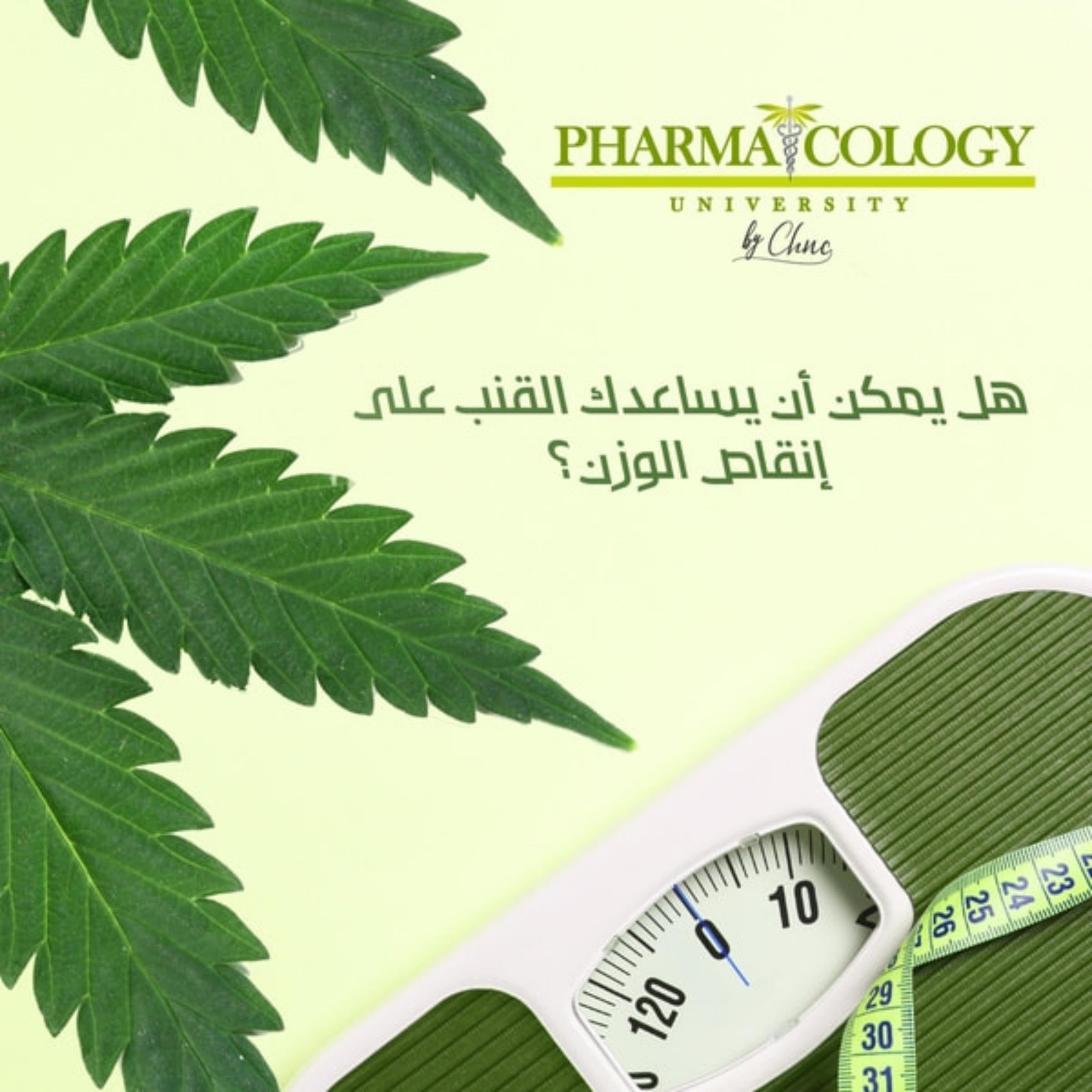 هل يمكن أن يساعدك القنب على إنقاص الوزن؟