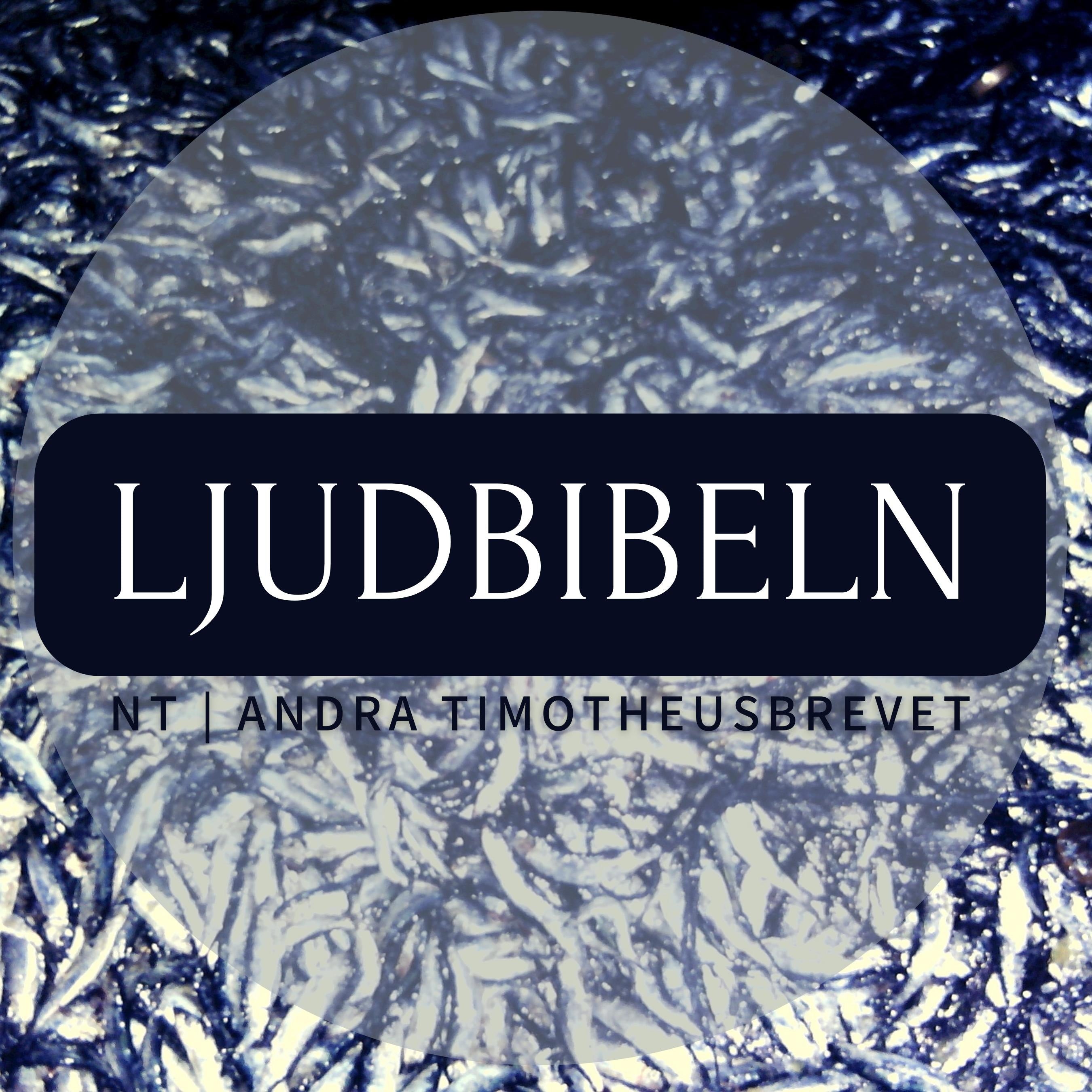 NT | Andra Timotheusbrevet