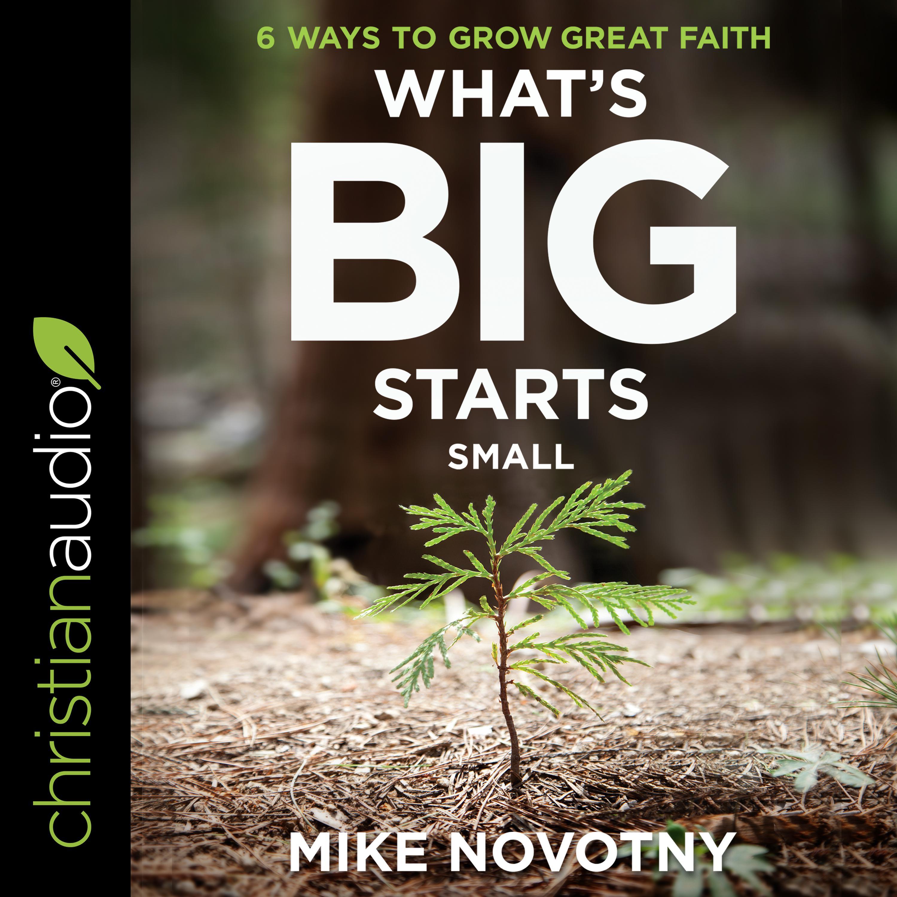 What's Big Starts Small