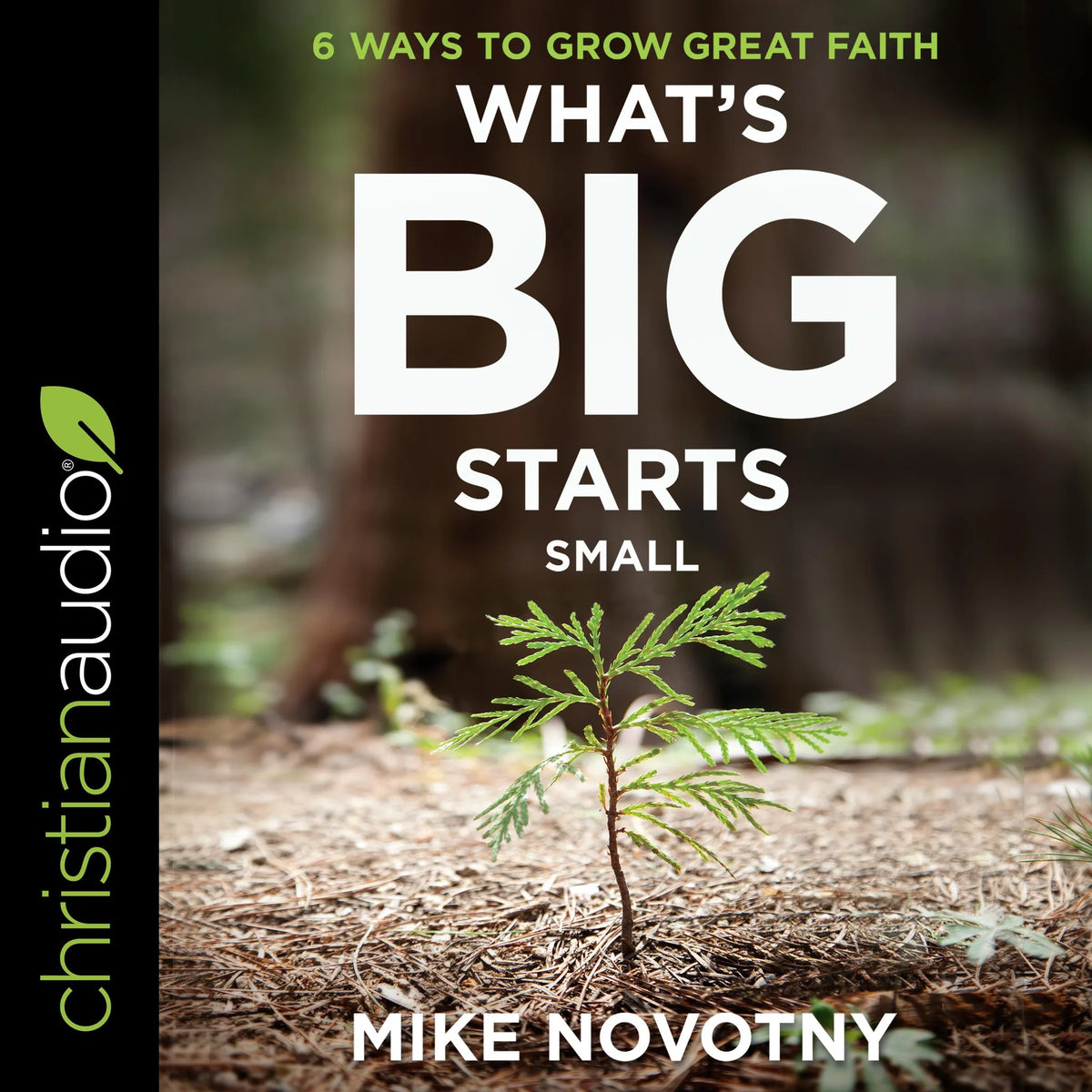 What's Big Starts Small