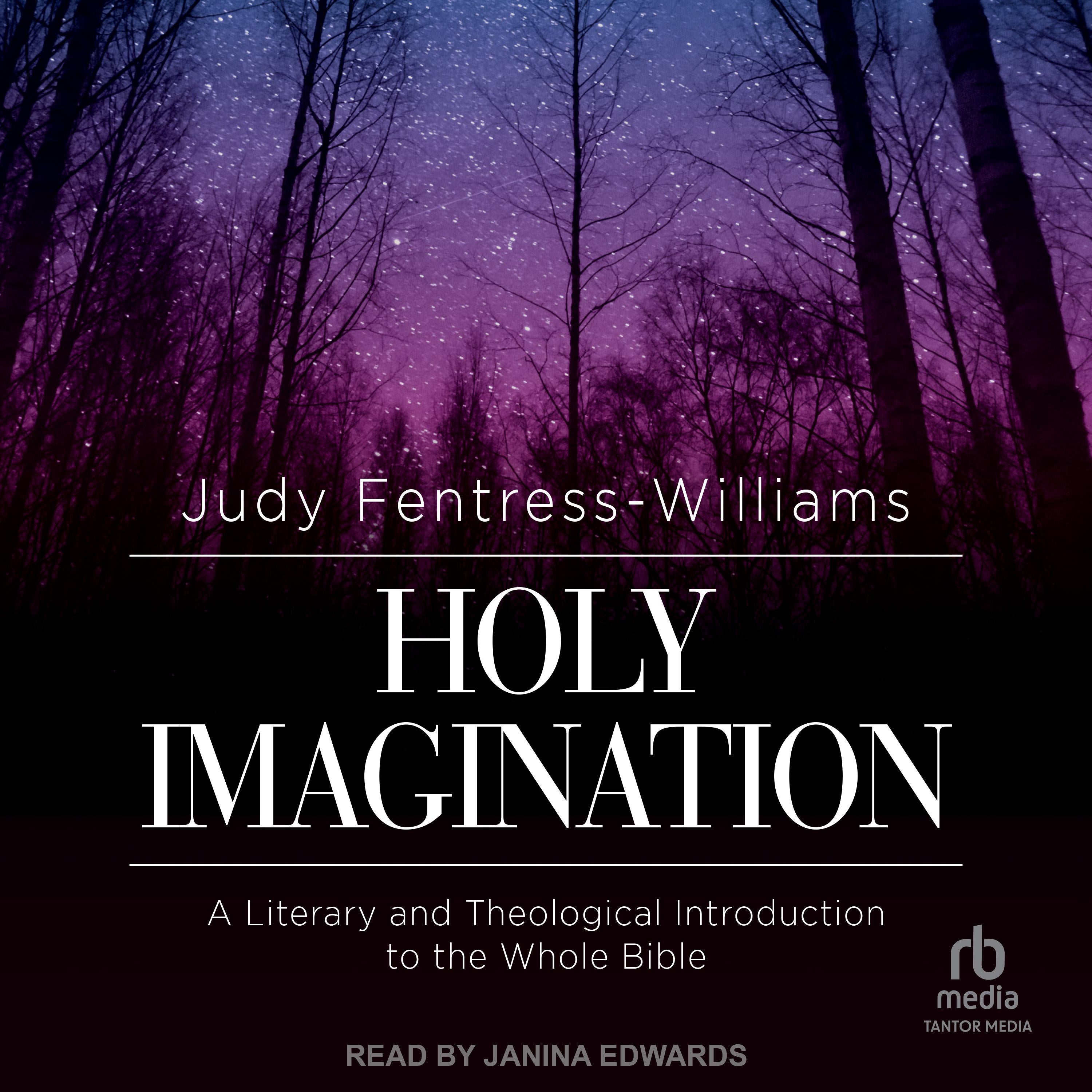 Holy Imagination