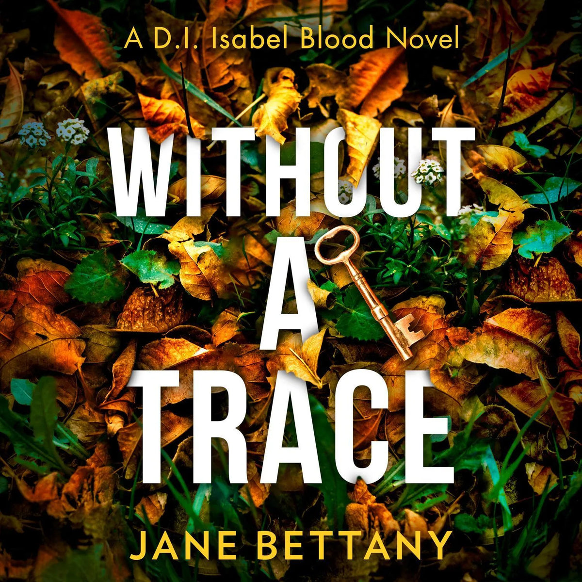 Without a Trace
