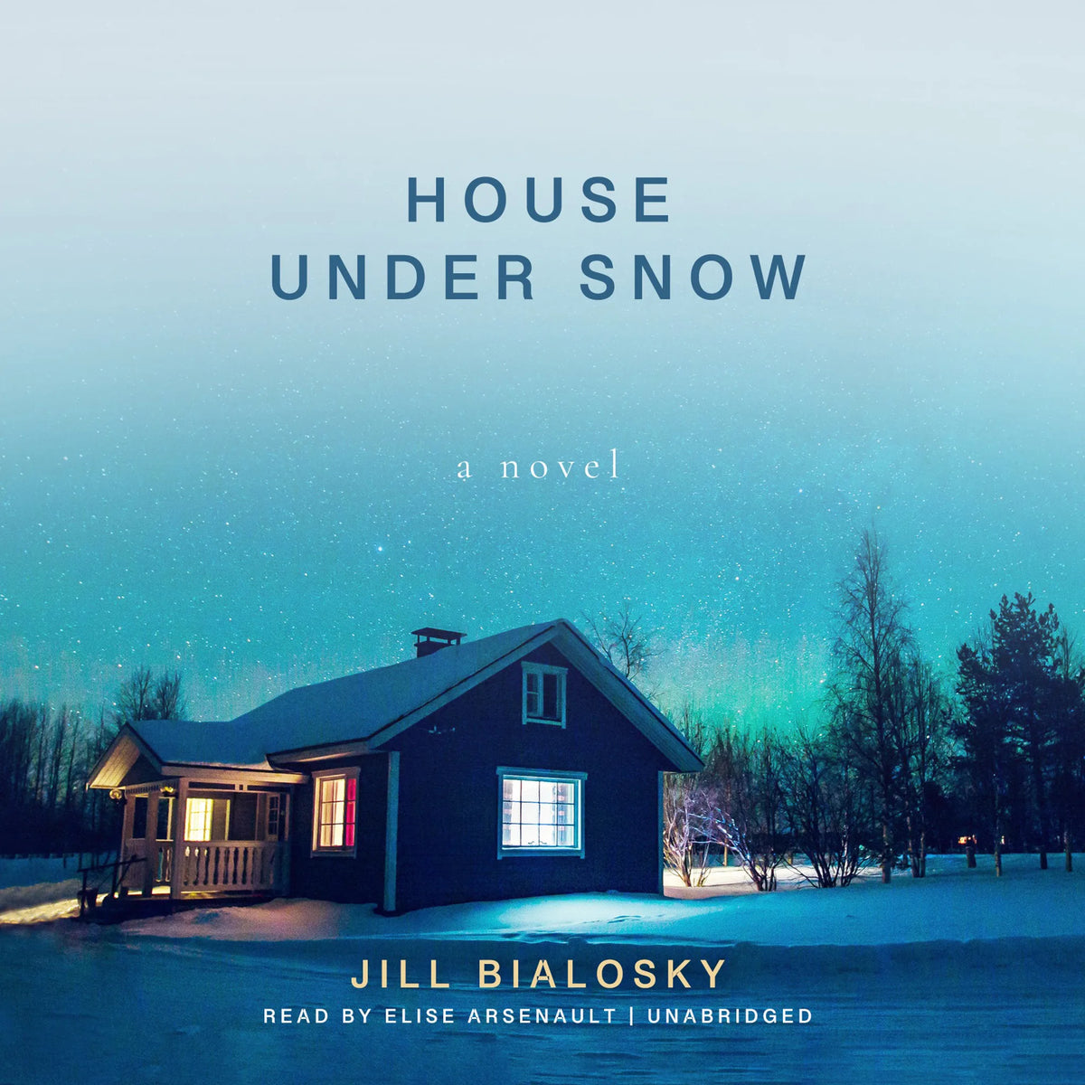 House under Snow