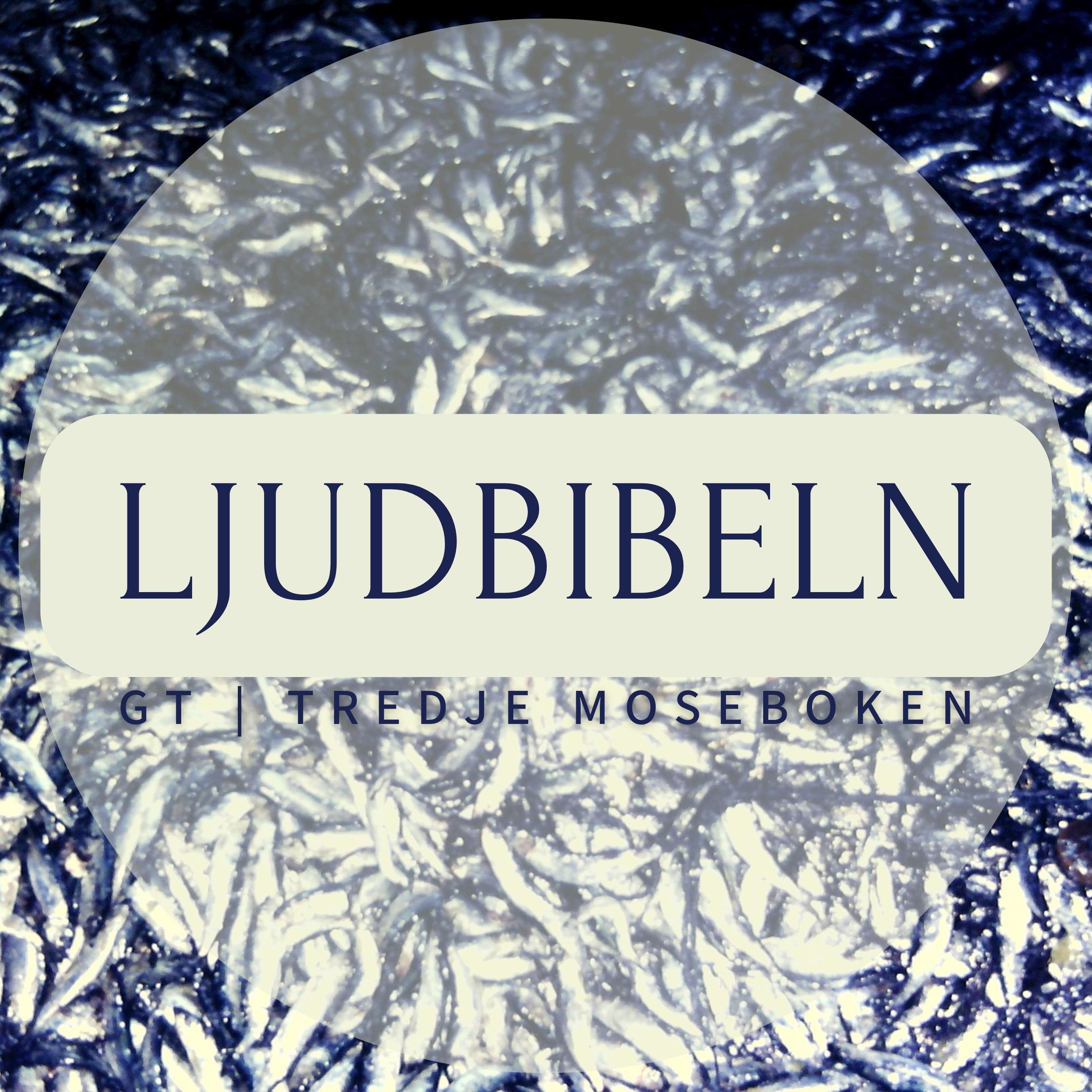 GT | Tredje Moseboken