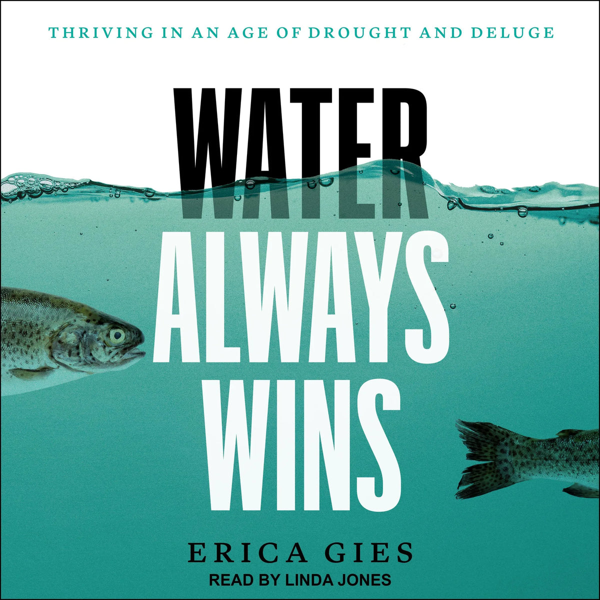 Water Always Wins