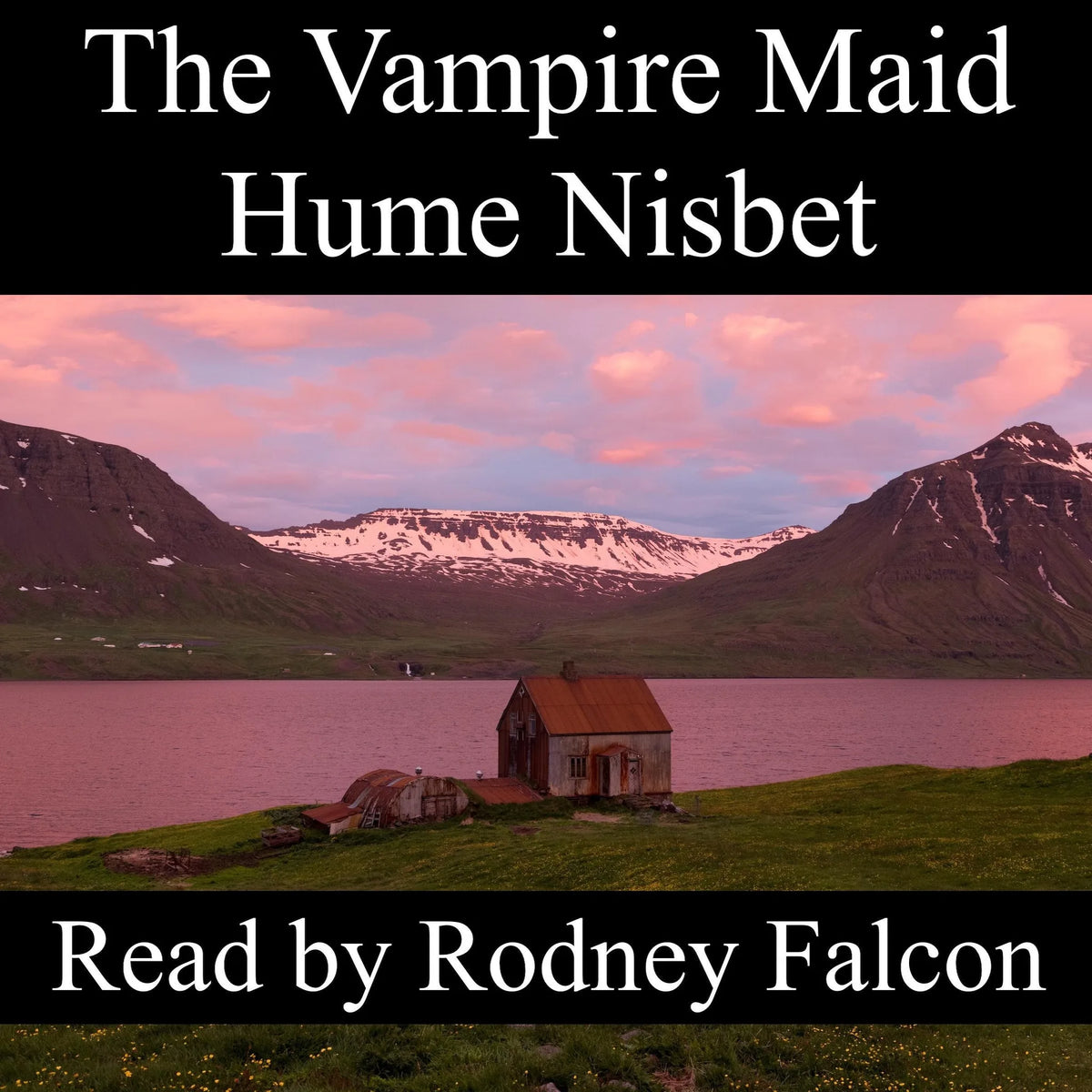 The Vampire Maid