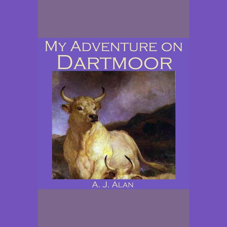 My Adventure on Dartmoor