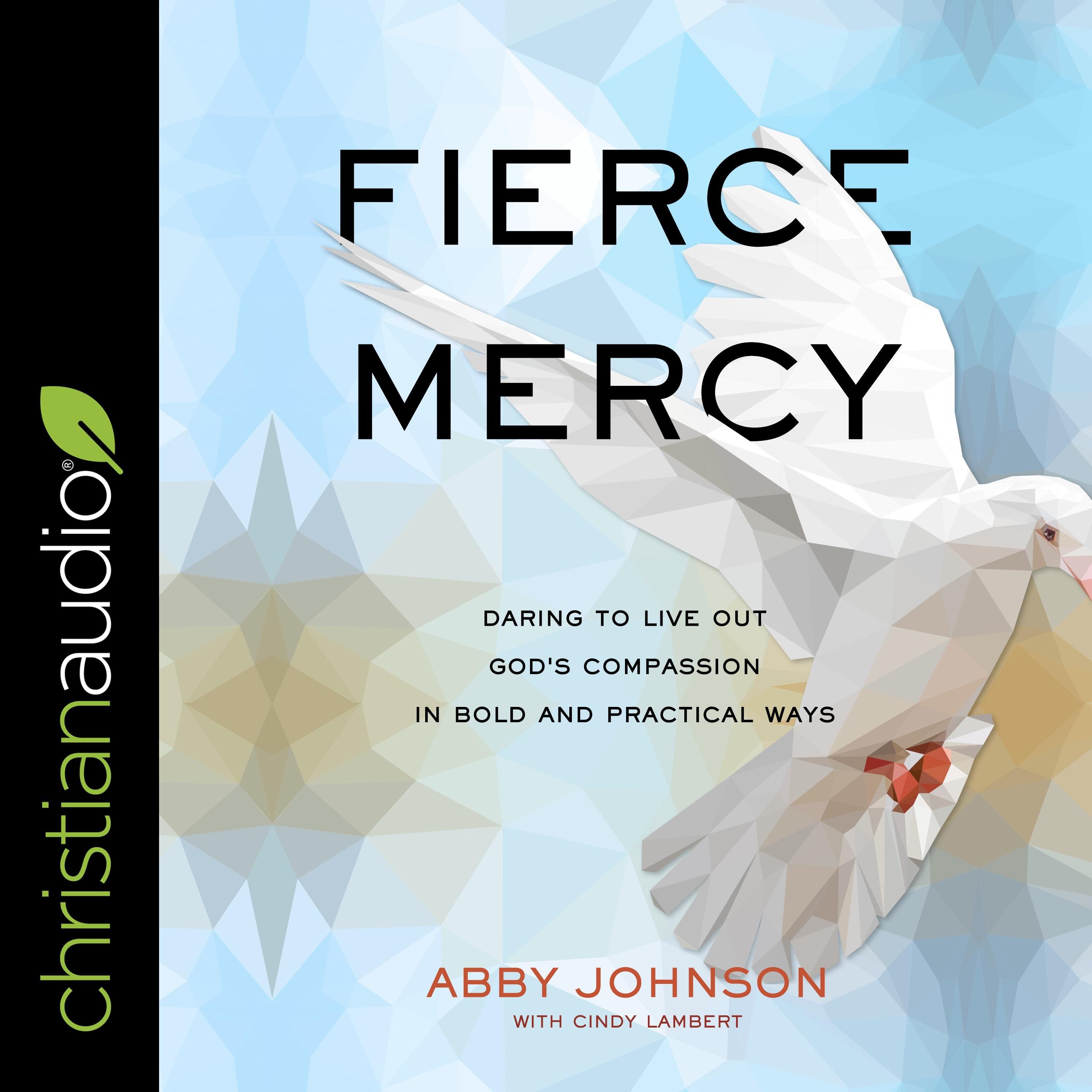 Fierce Mercy
