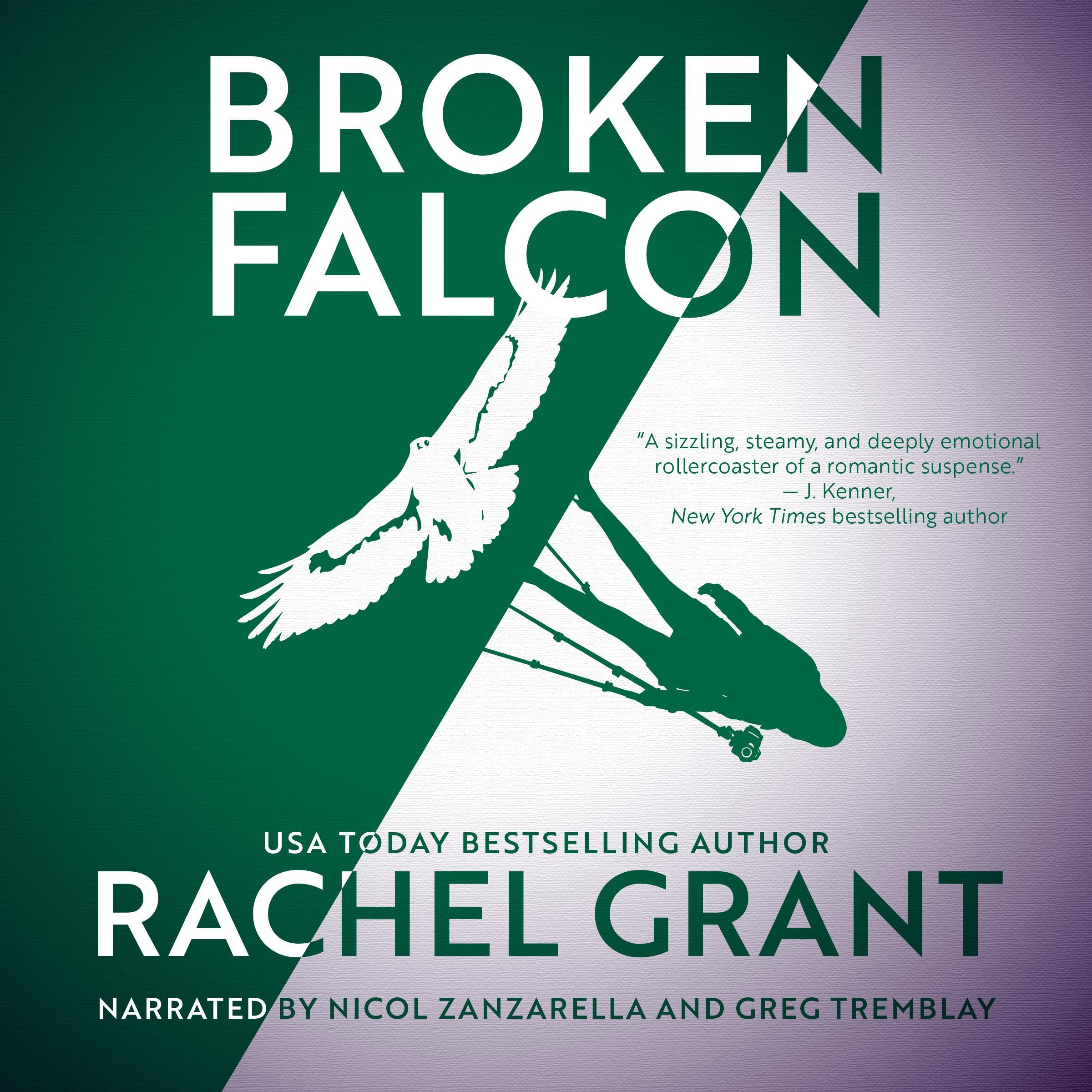 Broken Falcon