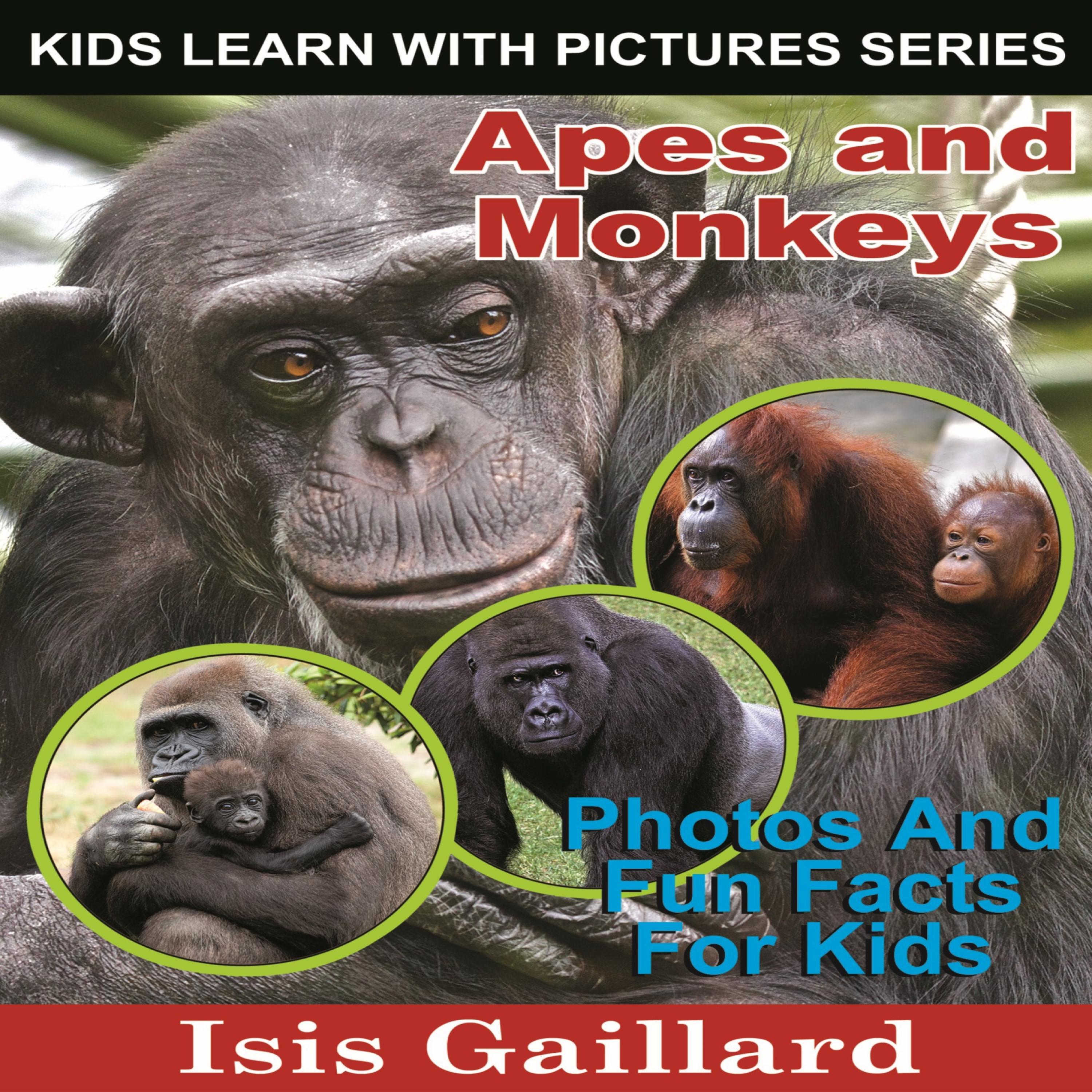 Apes and Monkeys