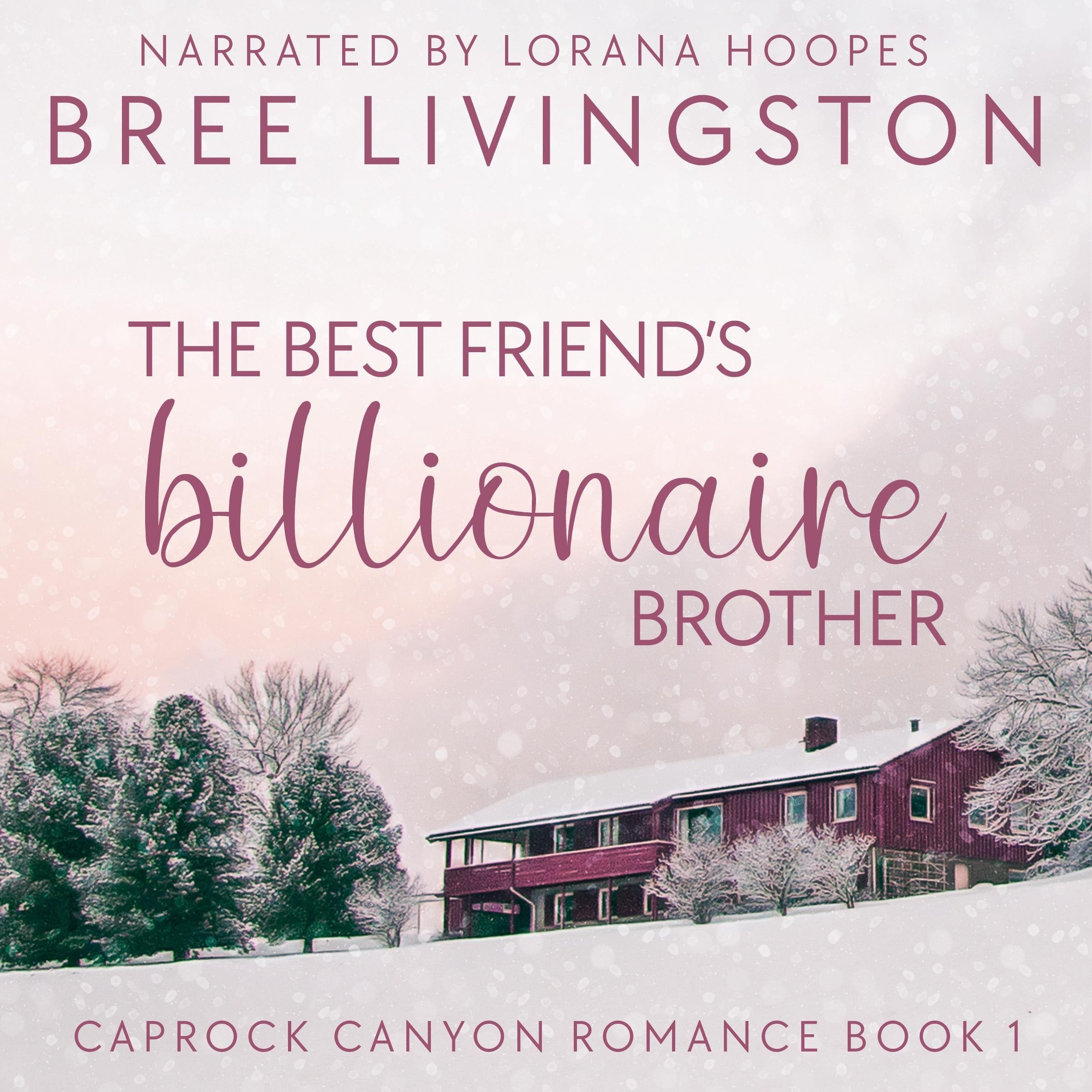 The Best Friend's Billionaire Brother