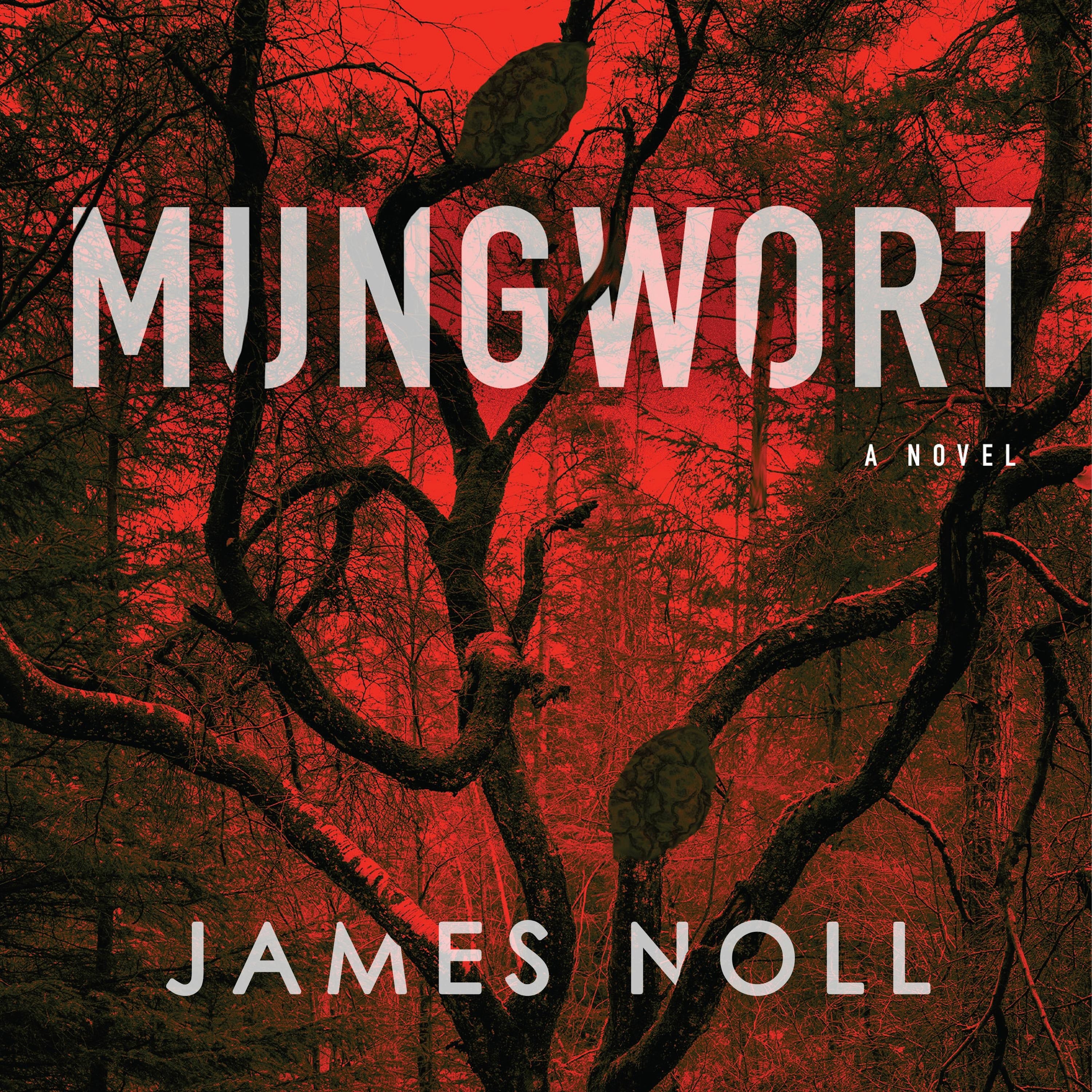 Mungwort