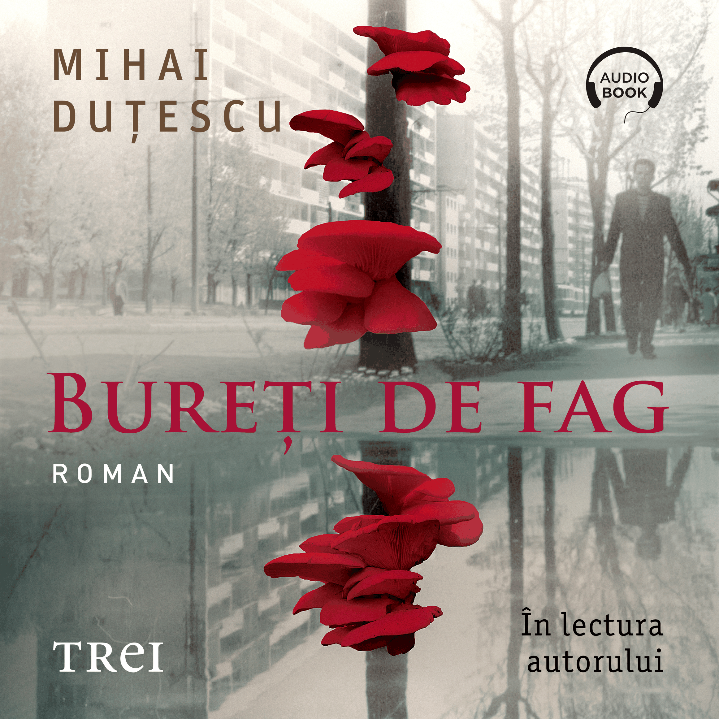 Bureți de fag