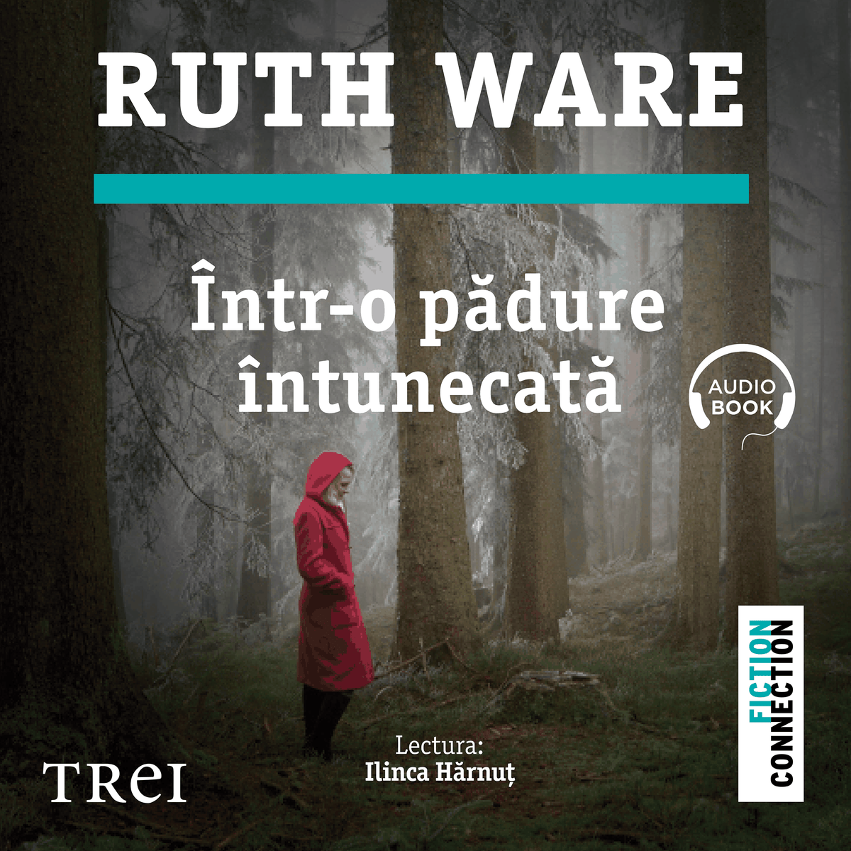 Într-o pădure întunecată
